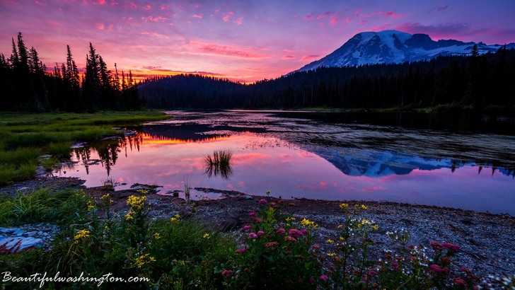 Photo from Washington State