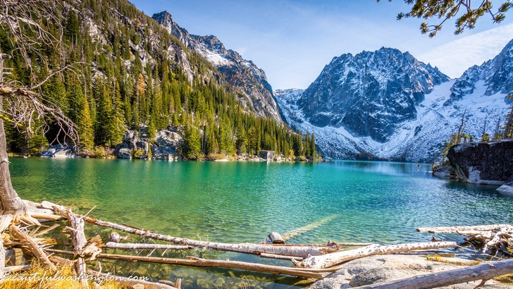 Photo from Washington State