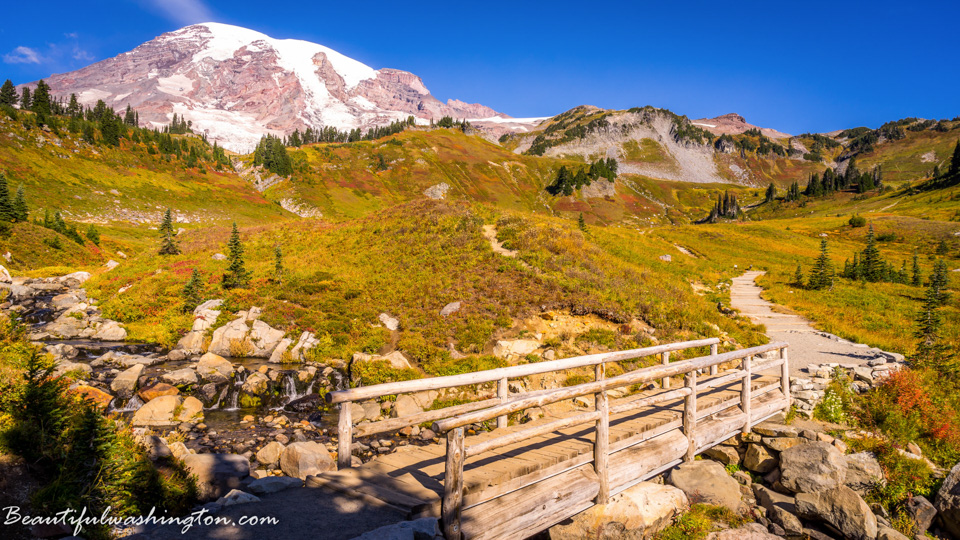 Photo from Washington State