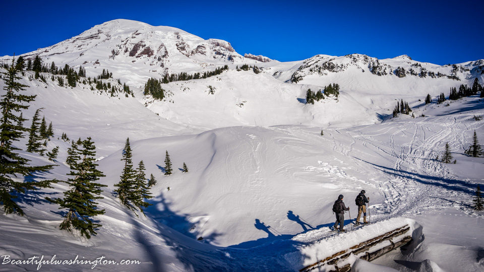 Photo from Washington State