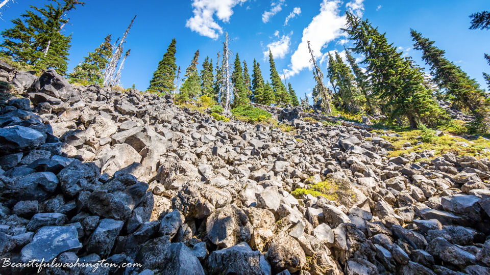 Photo from Washington State