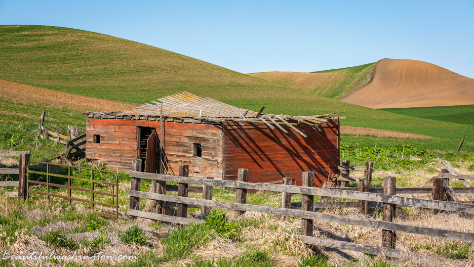Photo from Washington State