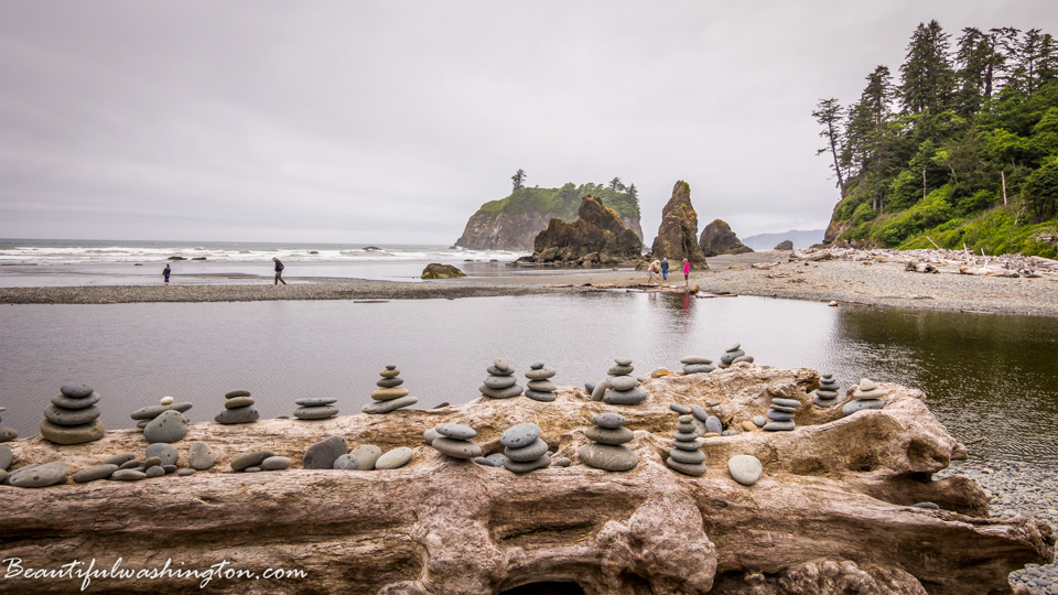 Photo from Washington State