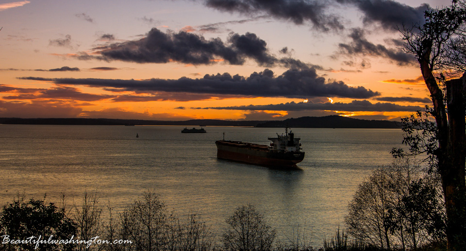 Photo from Washington State