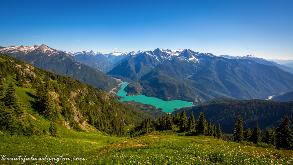 Photo from Washington State