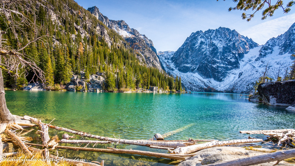 Photo from Washington State