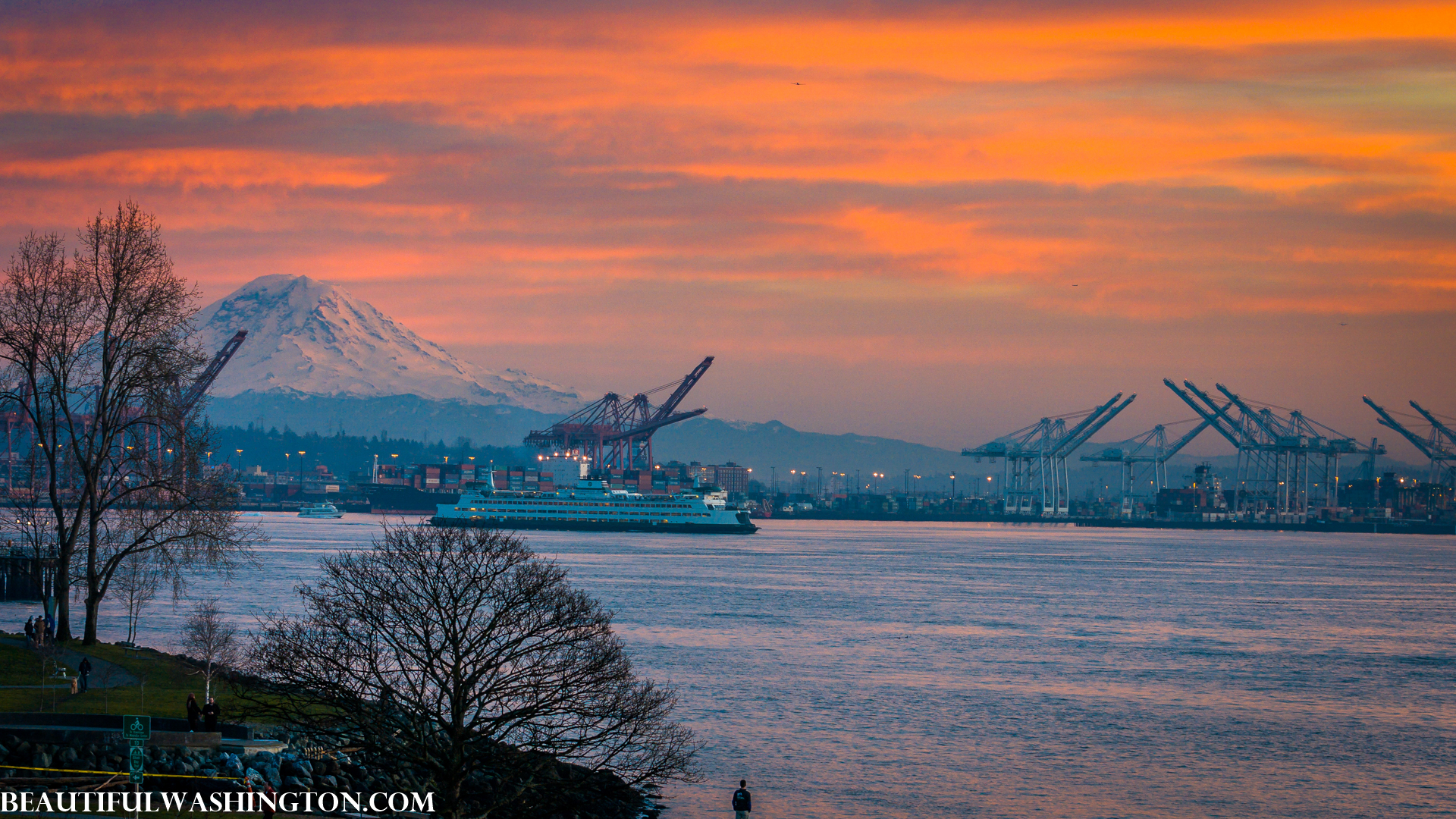 Photo from Washington State