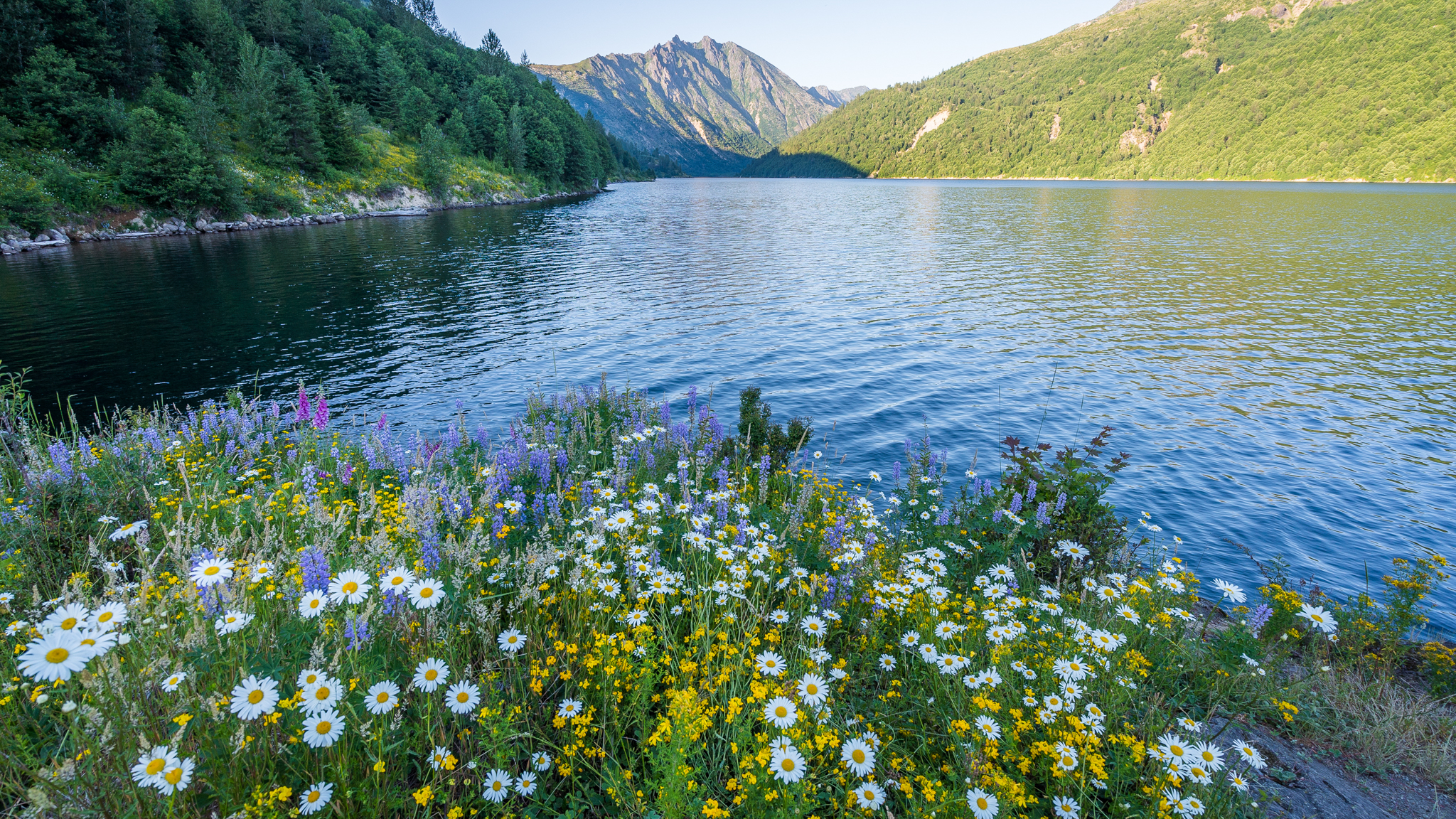 Photo from Washington State