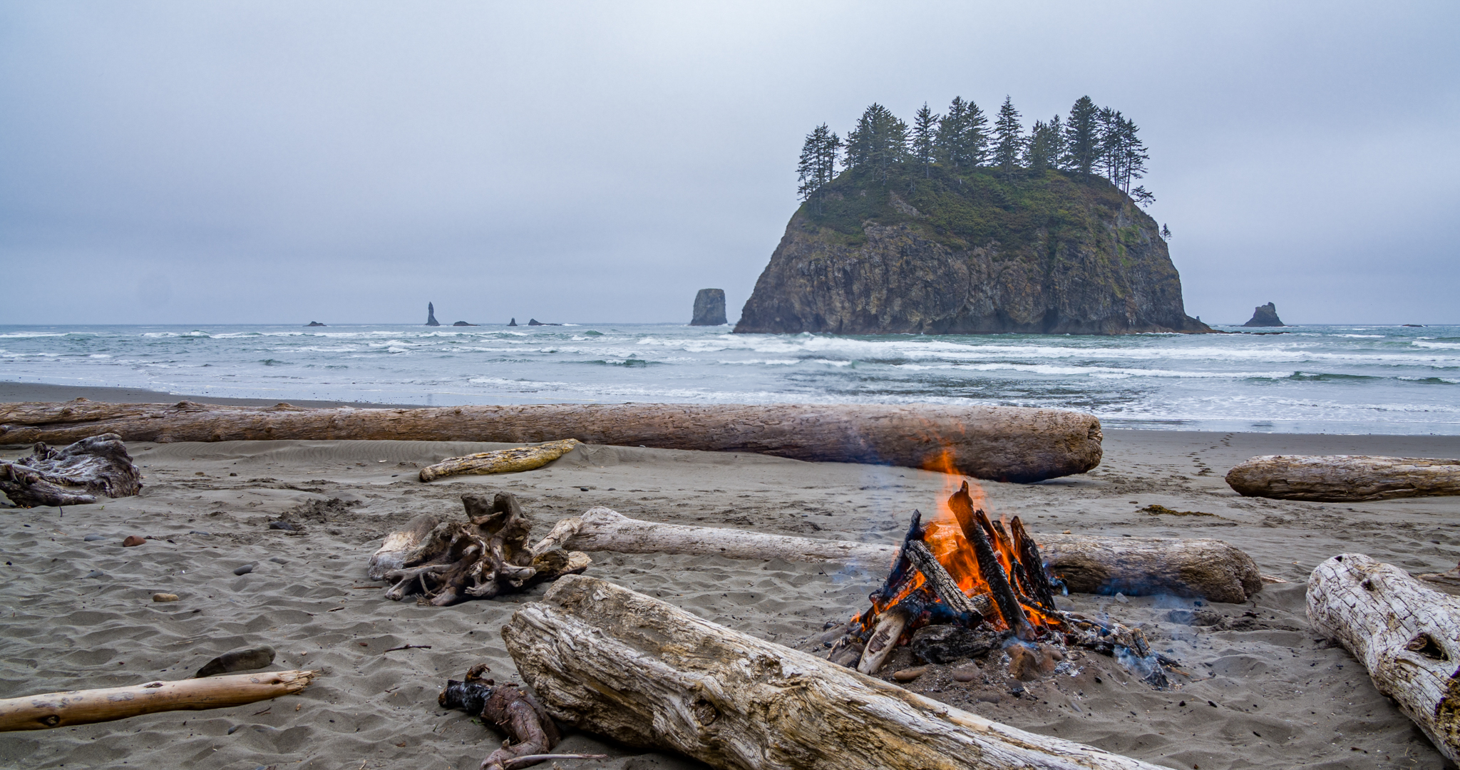 Photo from Washington State