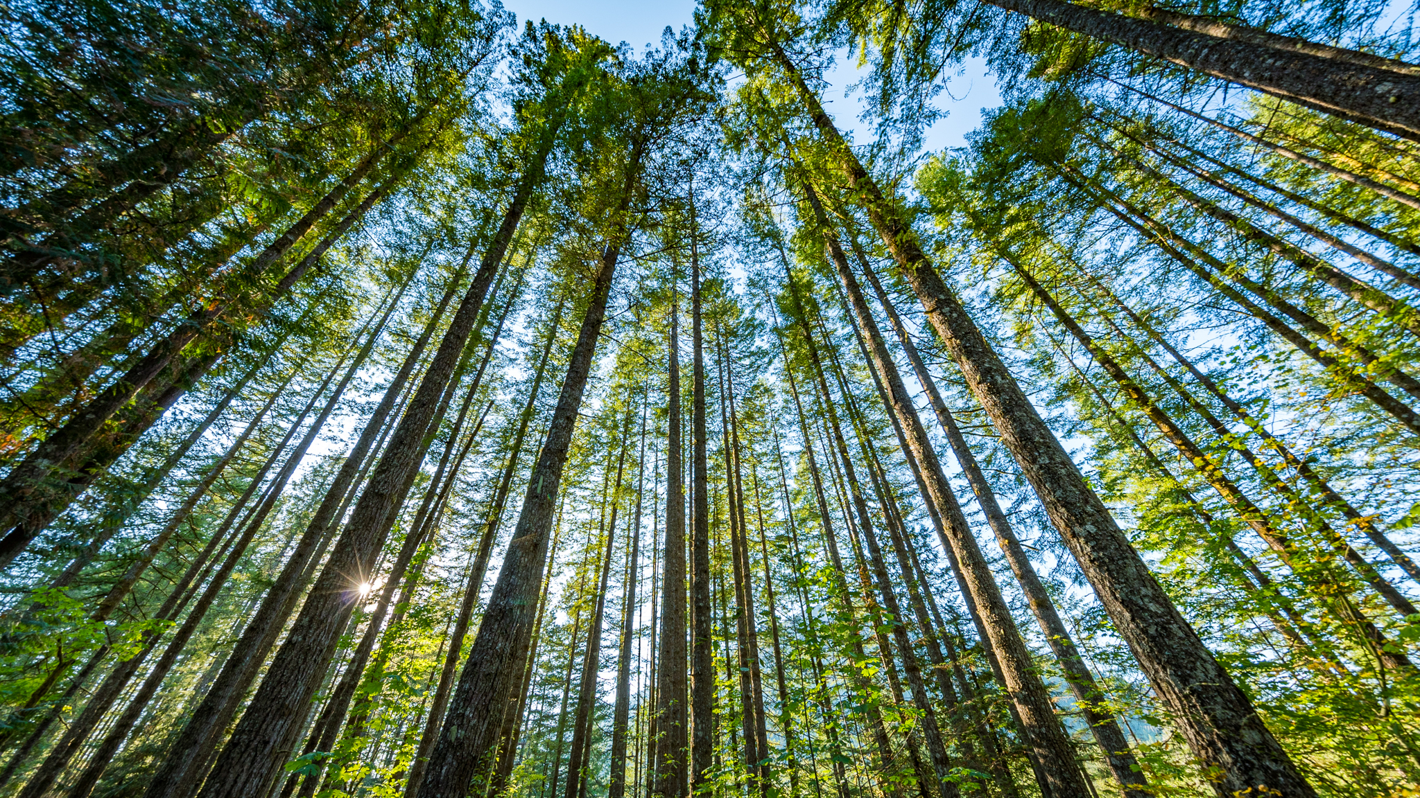 Photo from Washington State