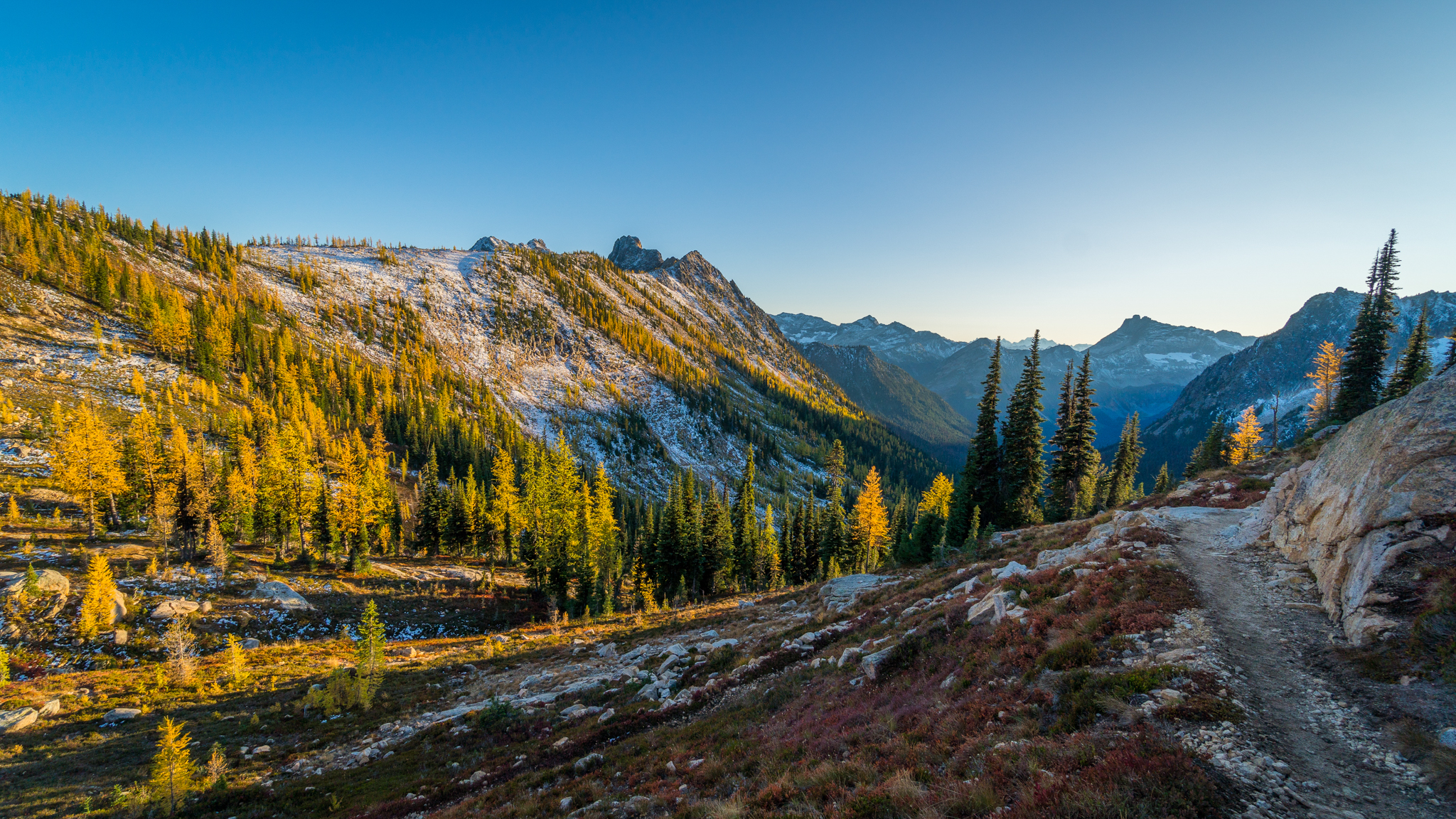 Photo from Washington State