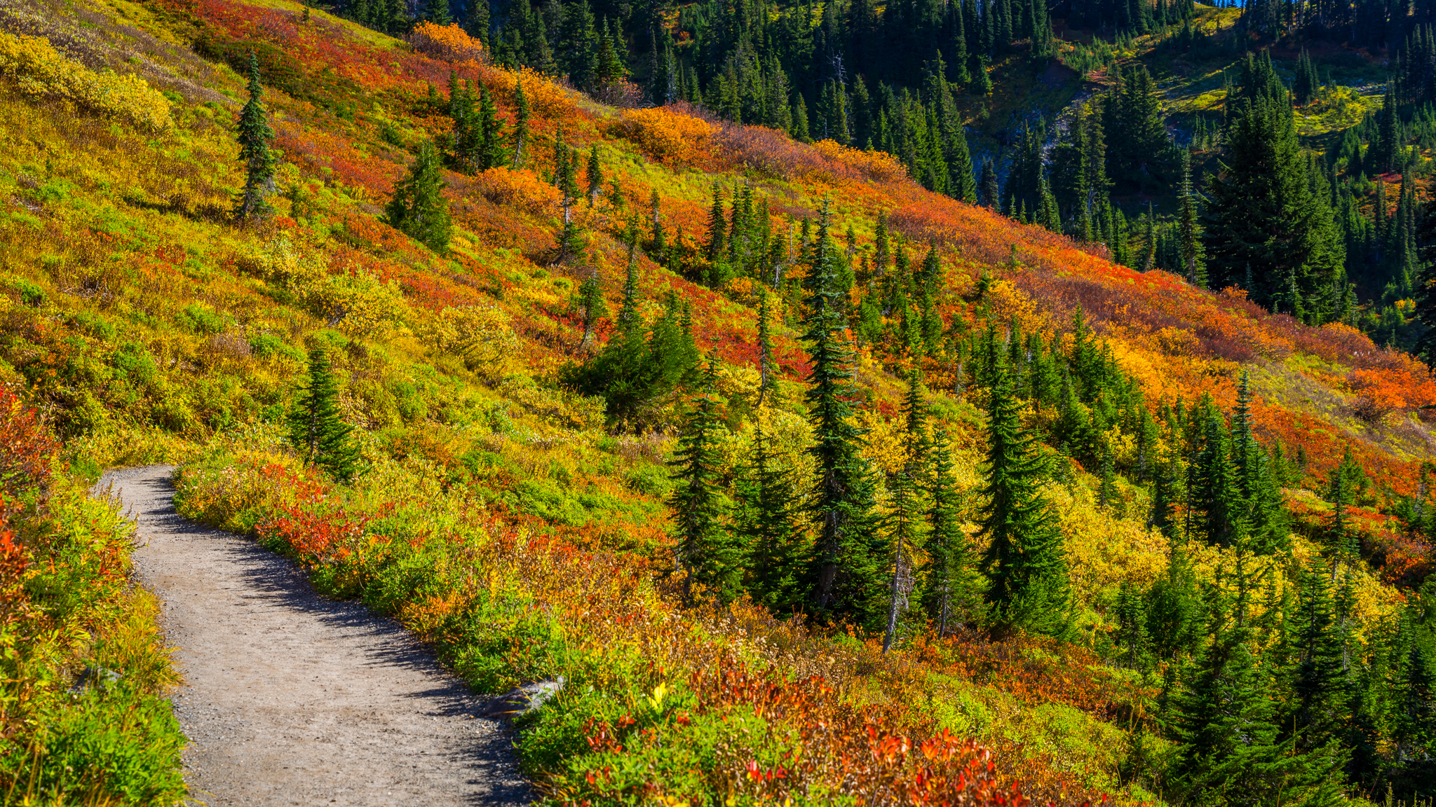 Photo from Washington State