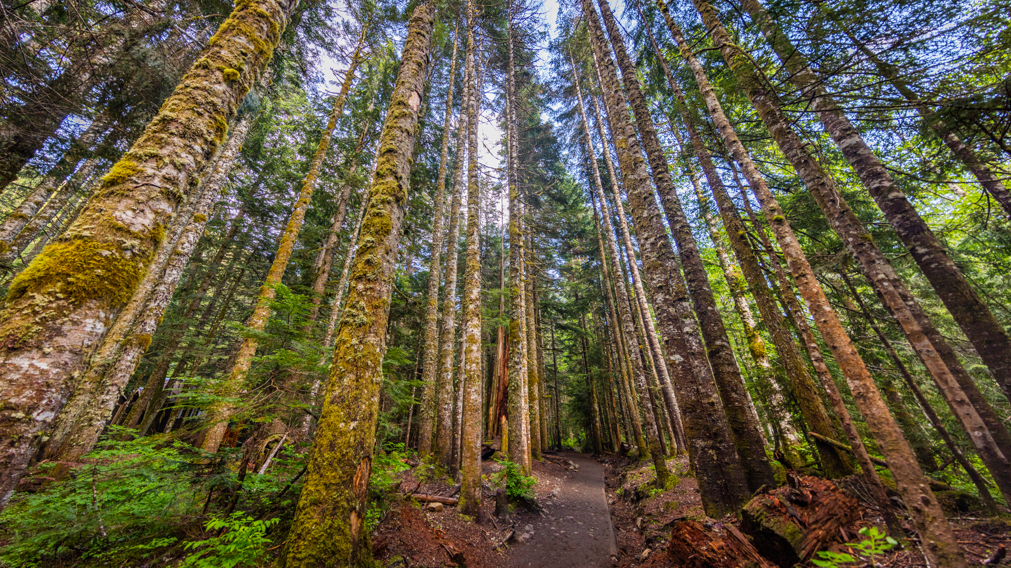 Photo from Washington State