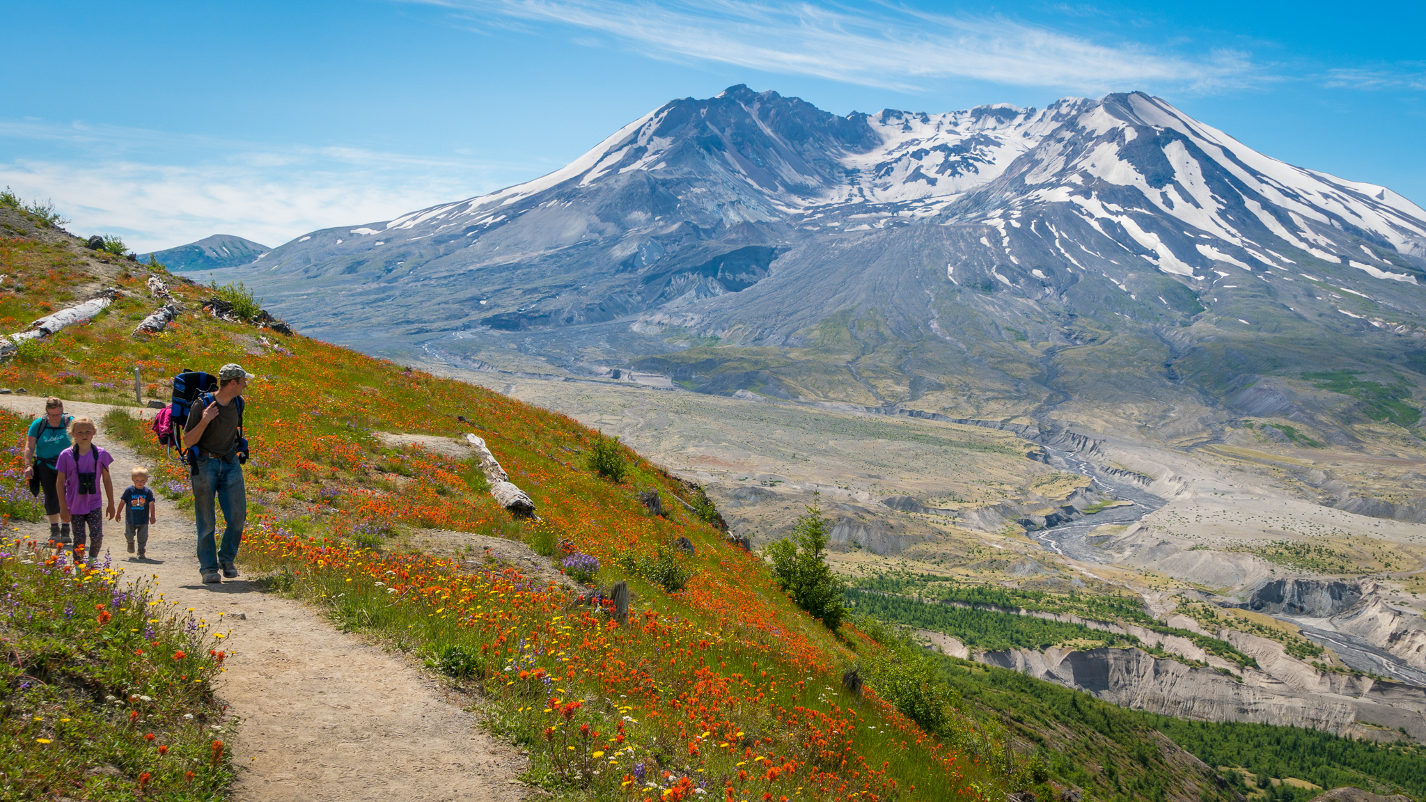 Photo from Washington State