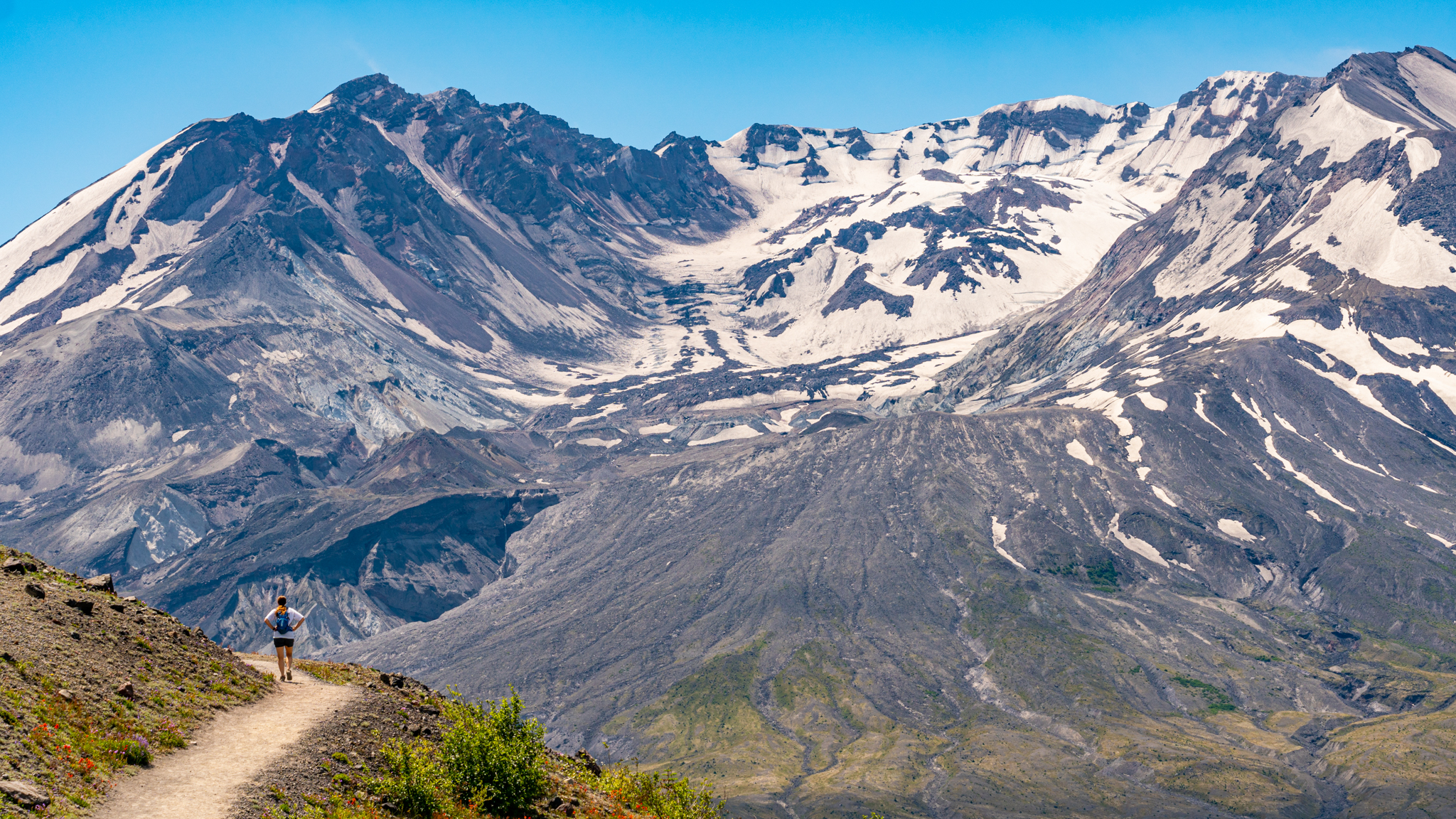 Photo from Washington State