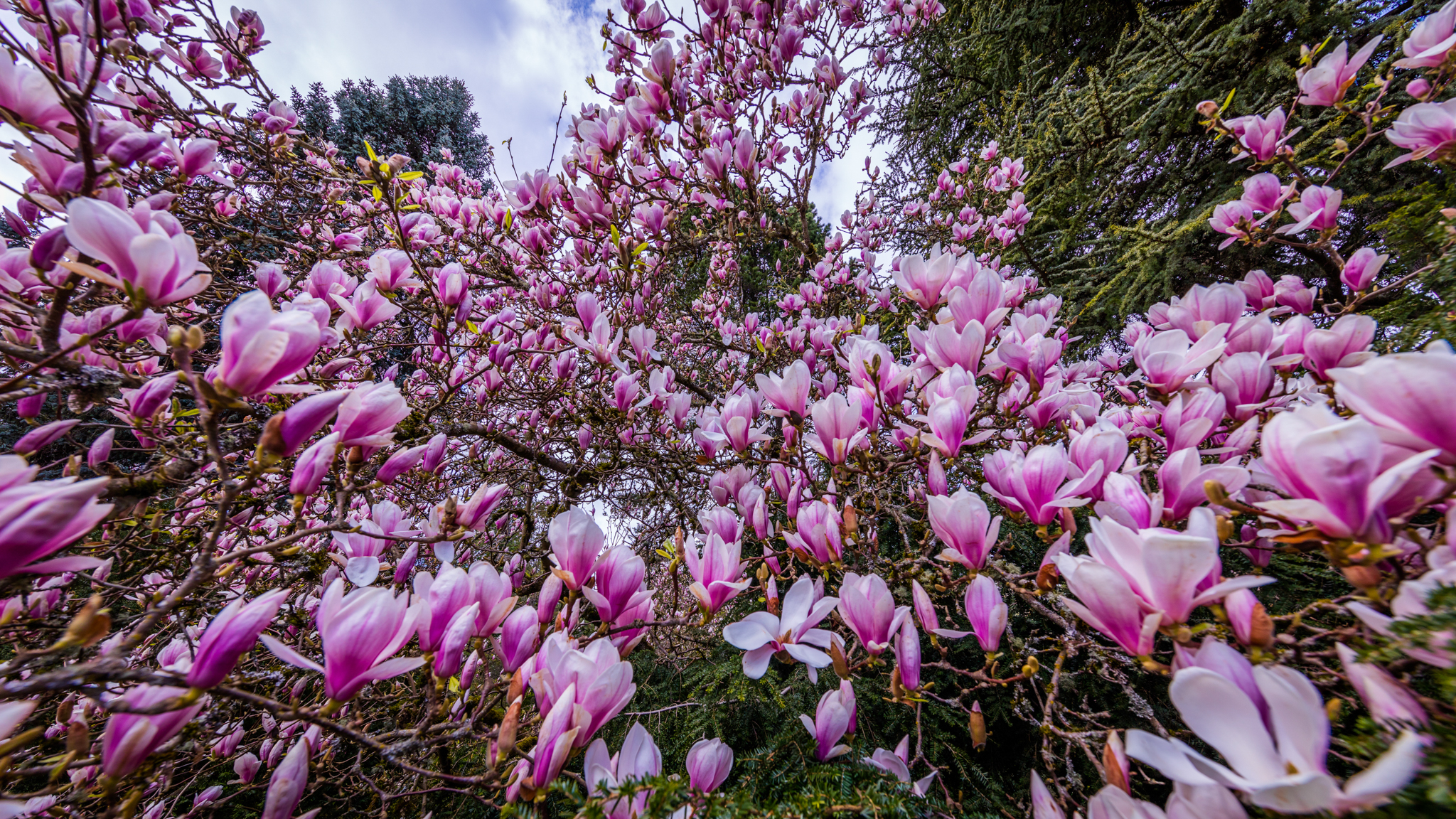 Photo from Washington State