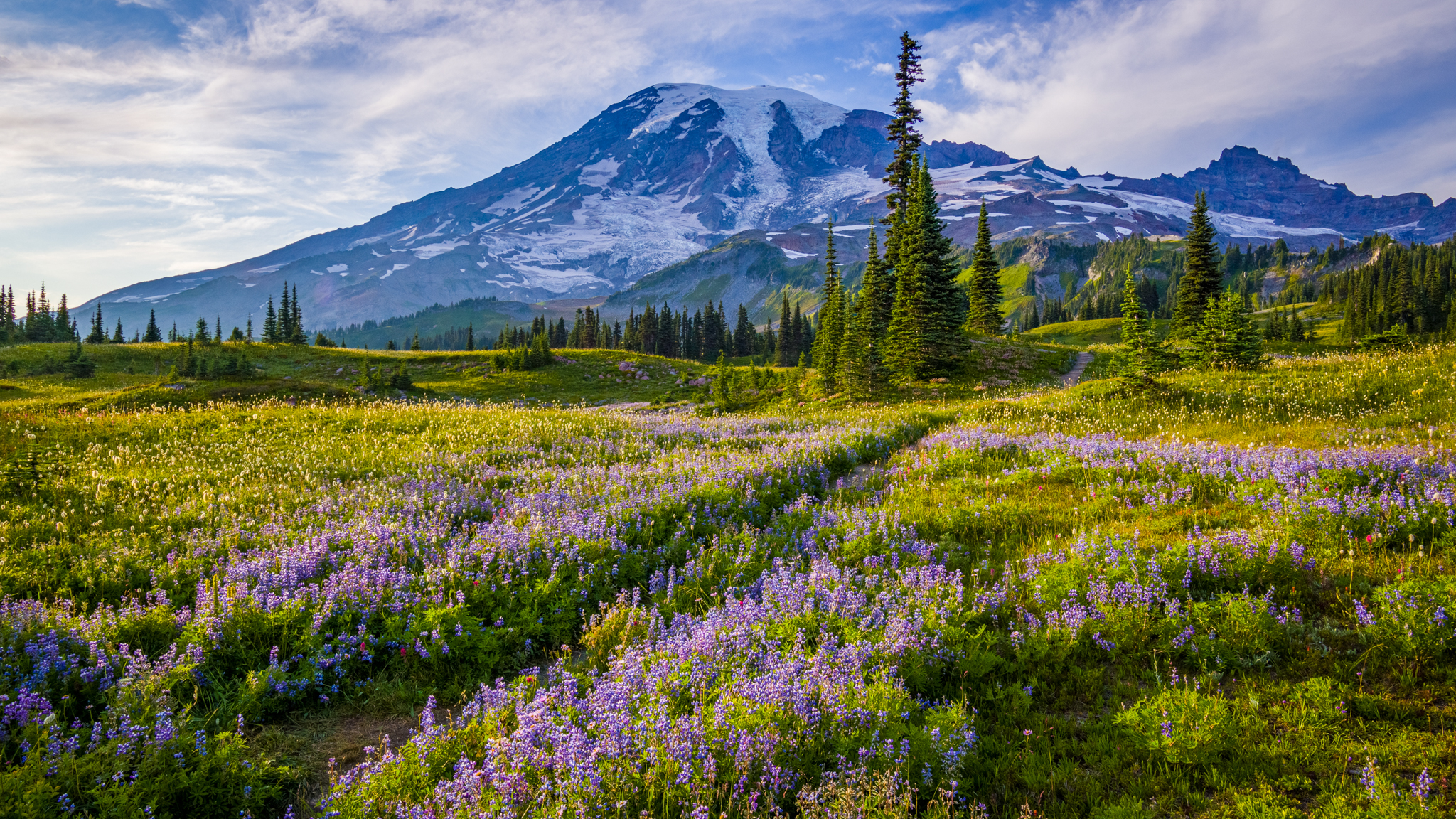 Photo from Washington State