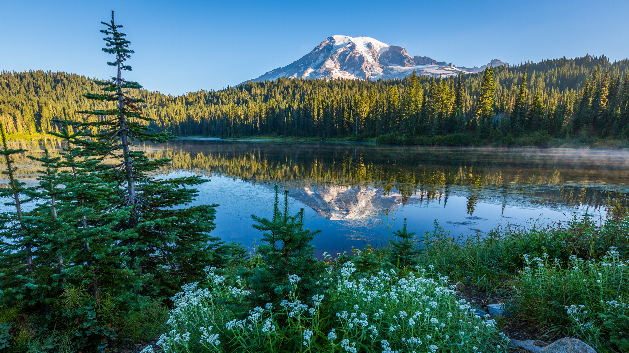 Photo from Washington State