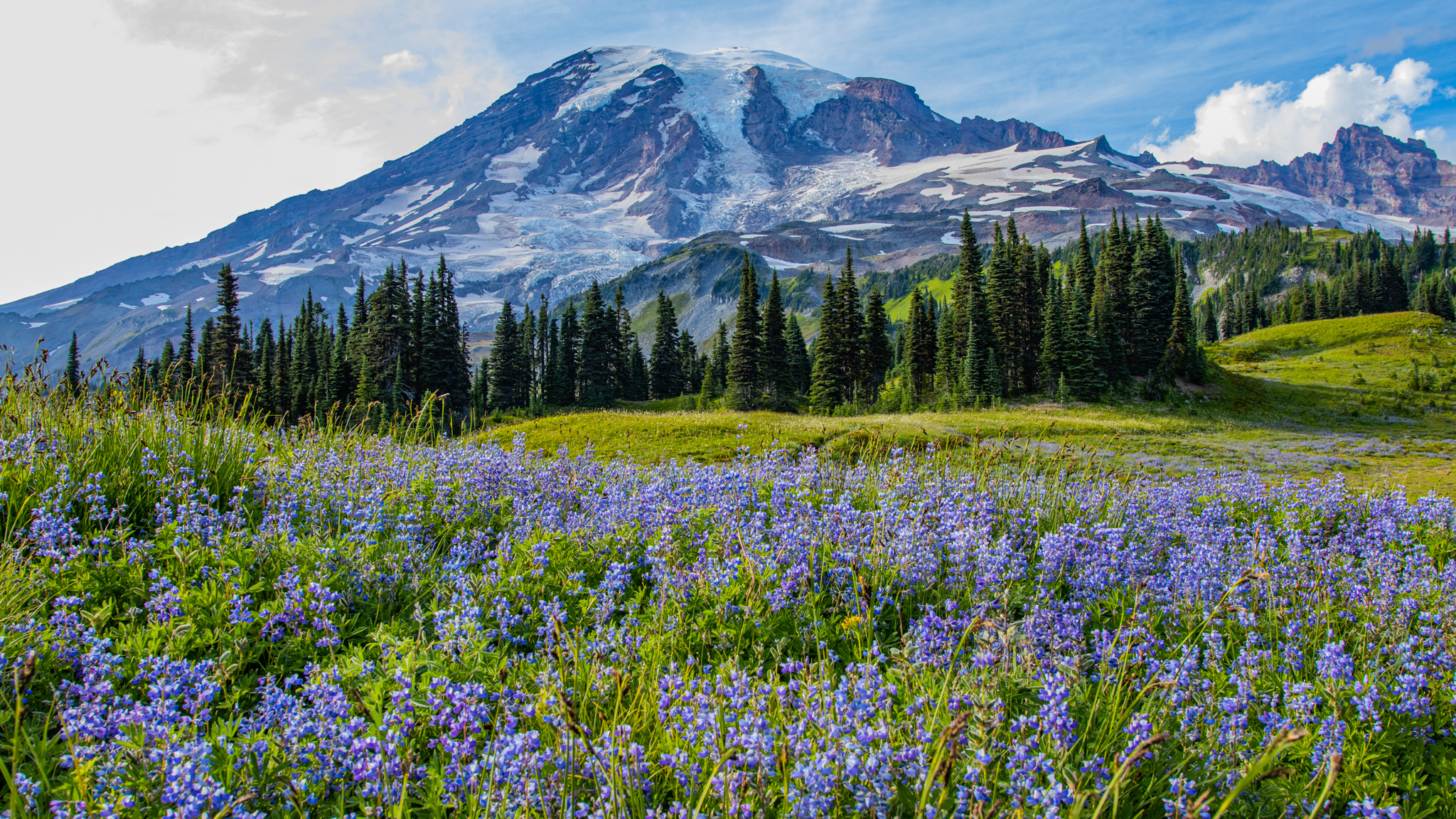 Photo from Washington State