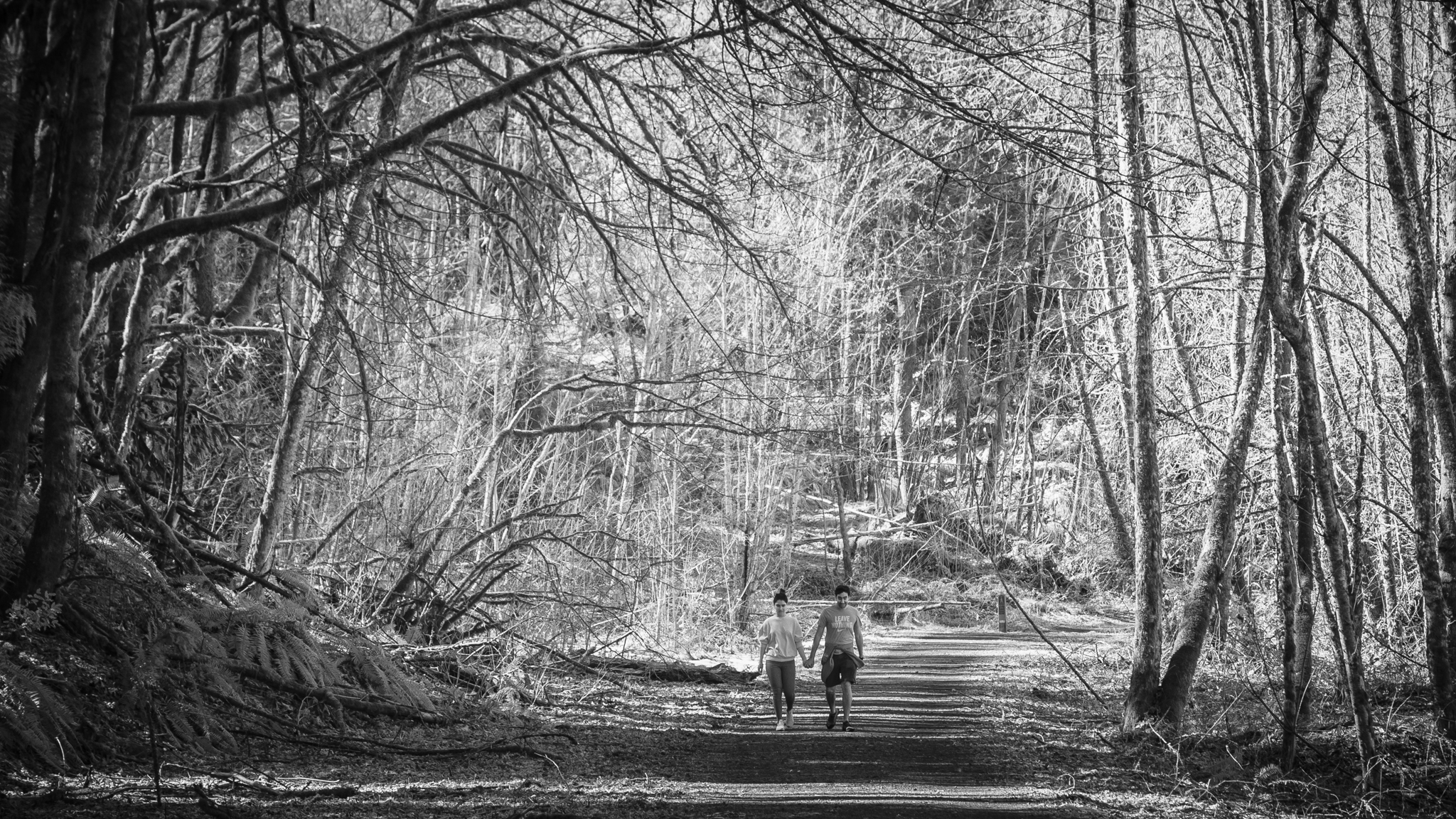 Photo from Washington State