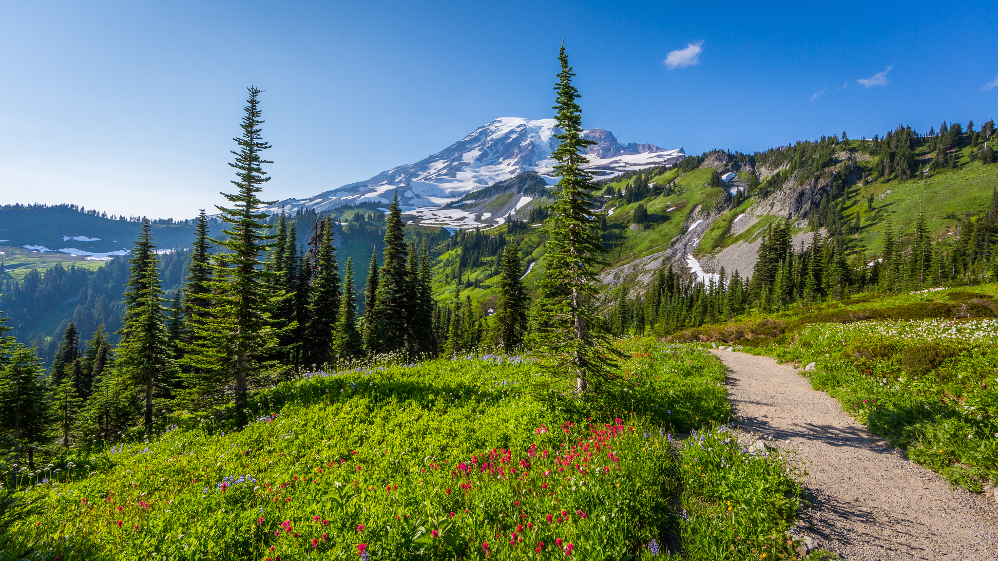 Photo from Washington State