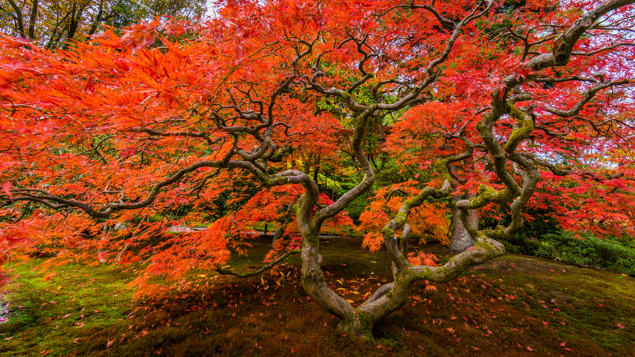 Photo from Washington State