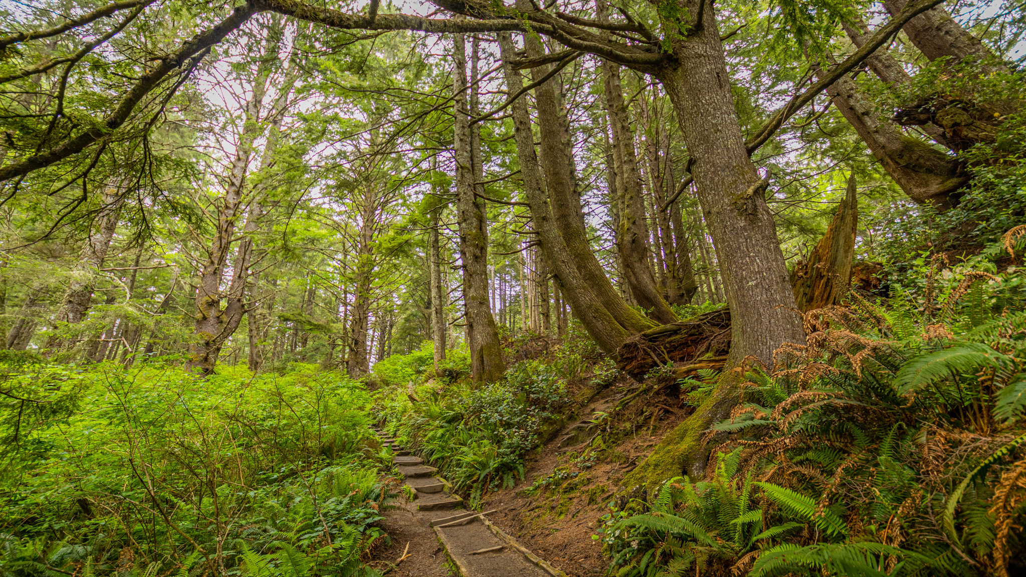 Photo from Washington State