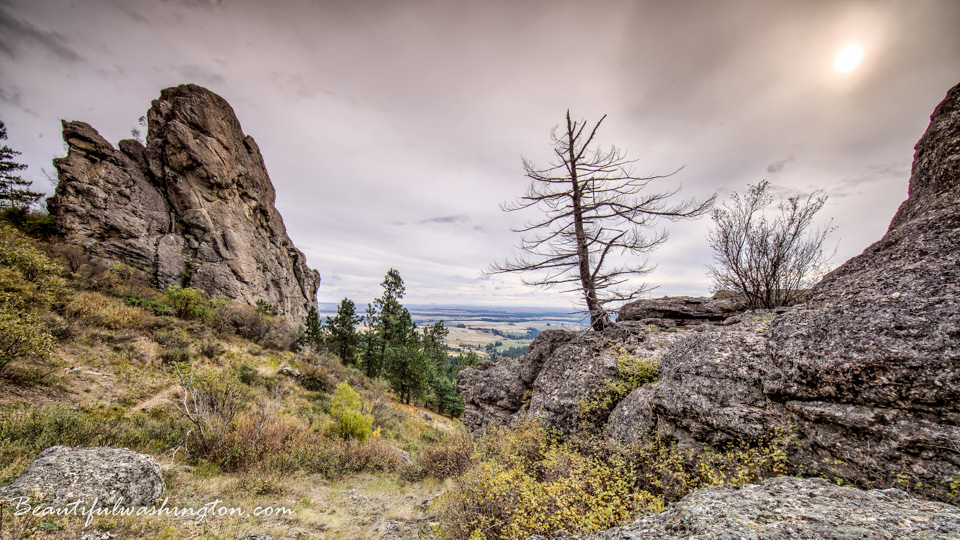 Photo from Washington State