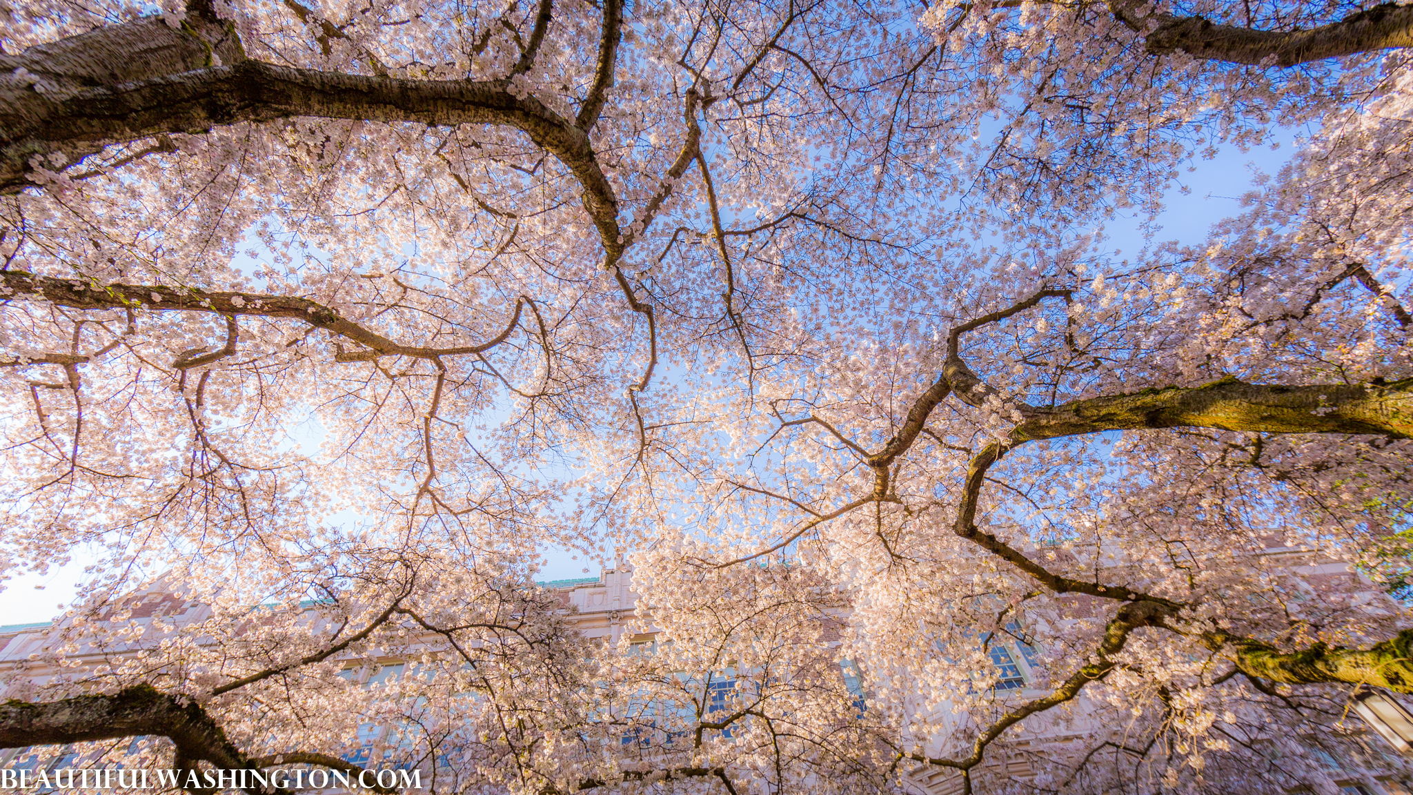 Photo from Washington State