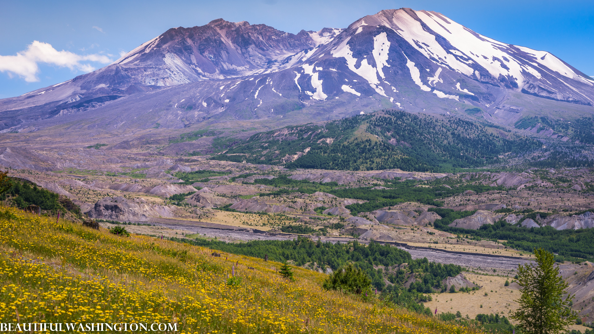 Photo from Washington State