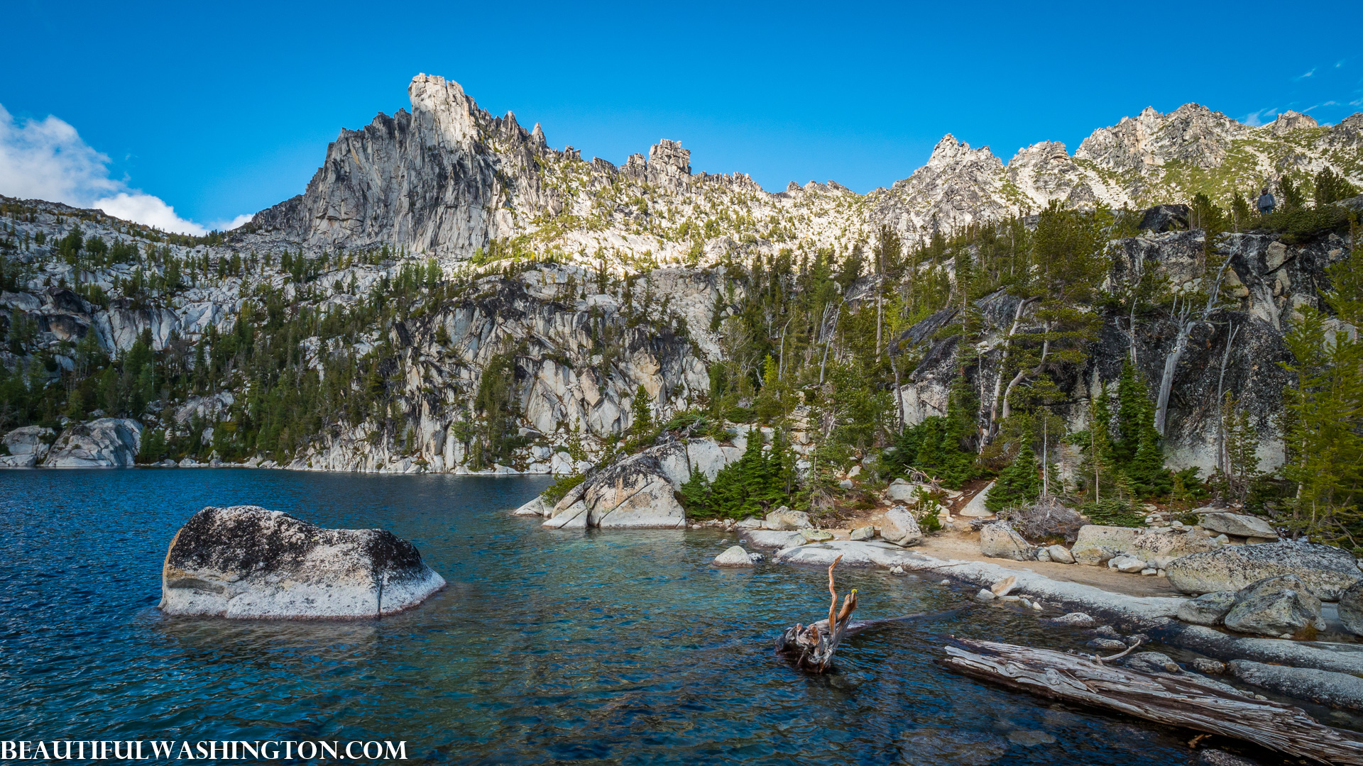 Photo from Washington State