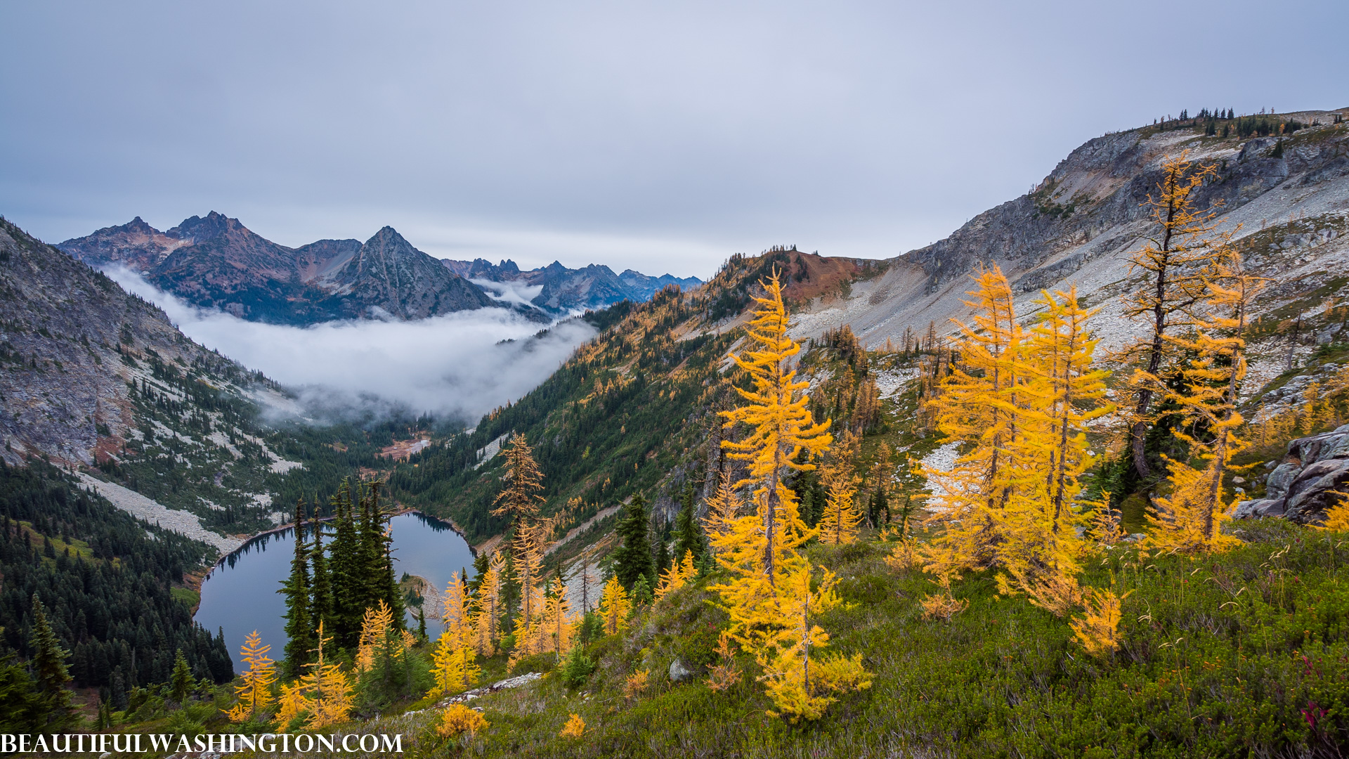 Photo from Washington State