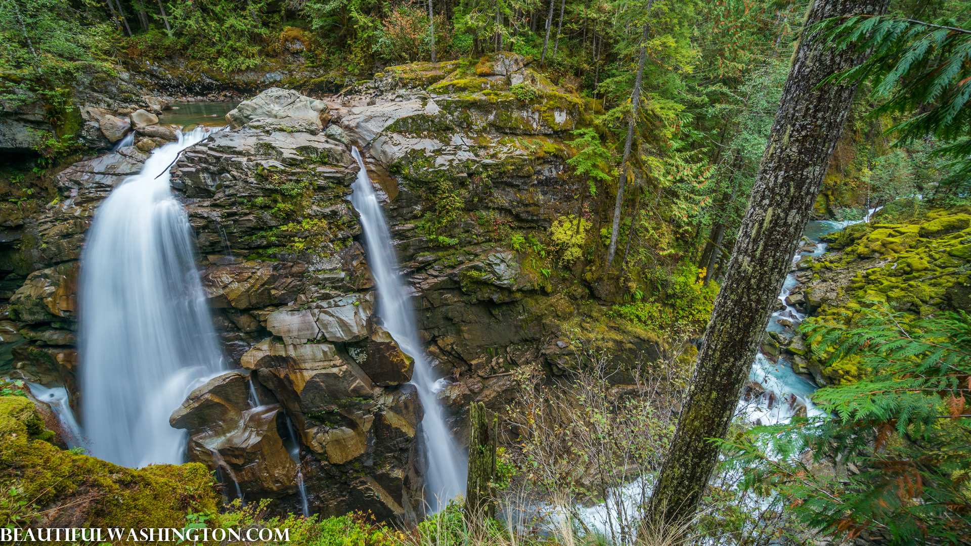 Photo from Washington State