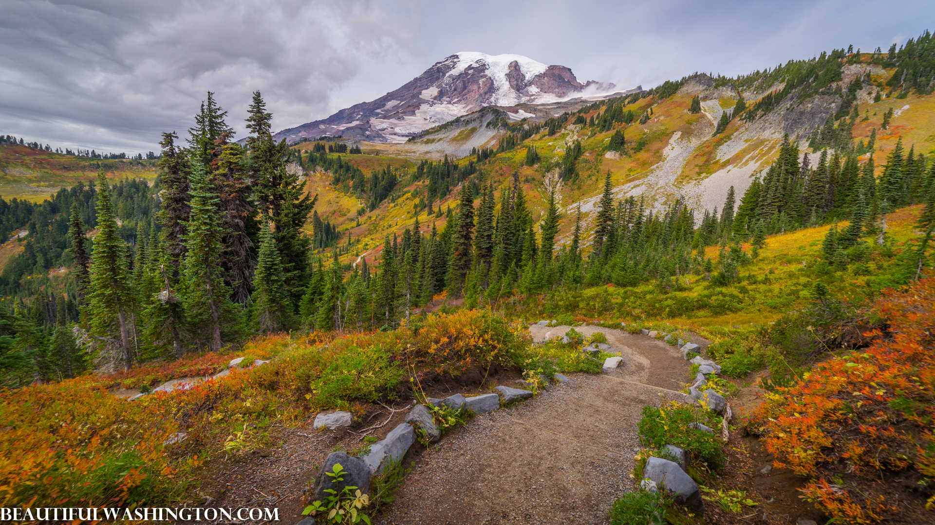 Photo from Washington State