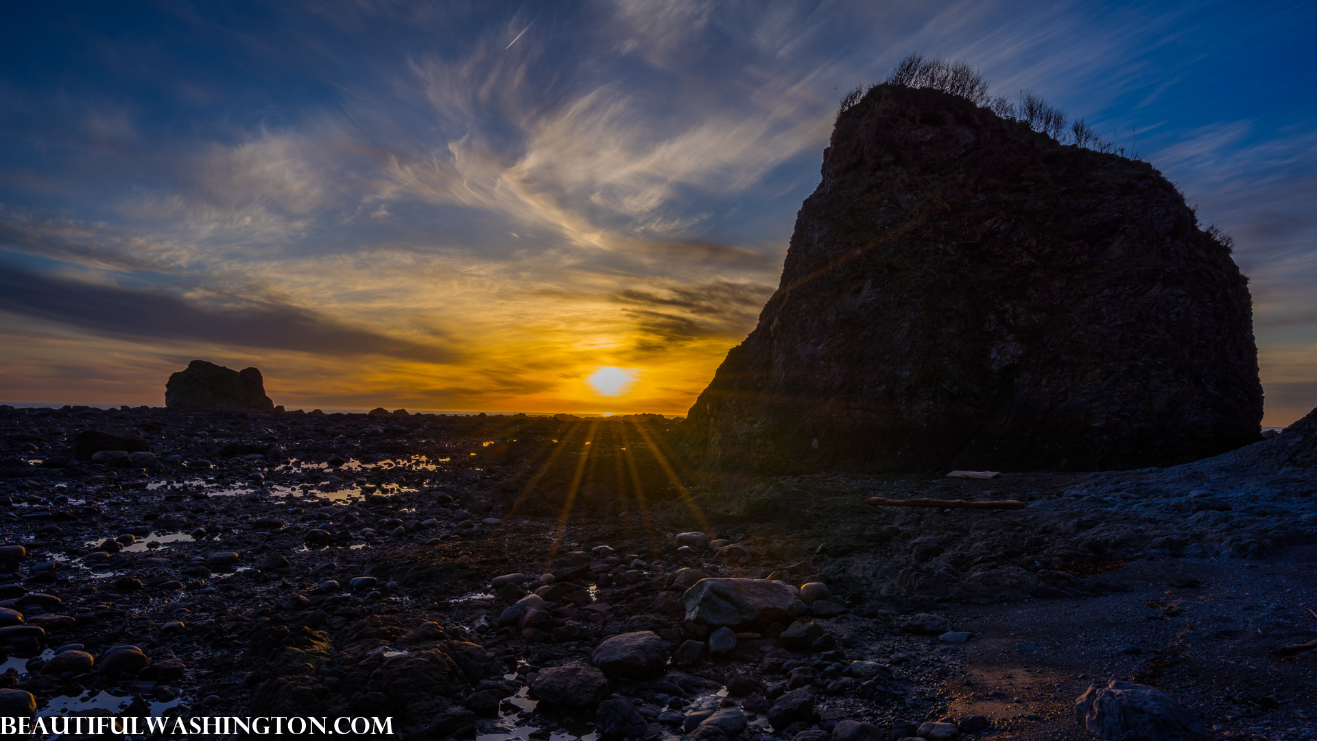 Photo from Washington State