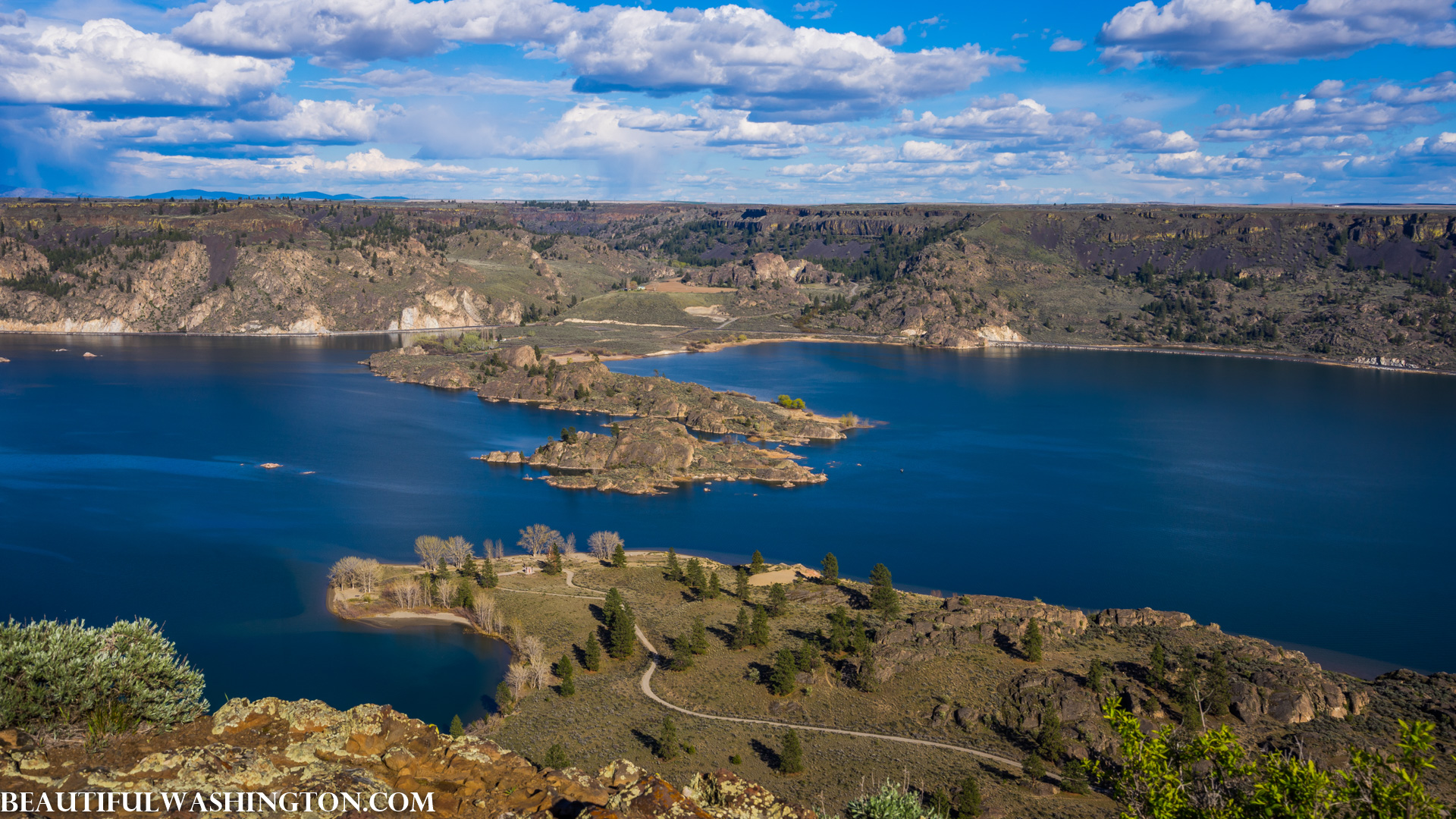 Photo from Washington State