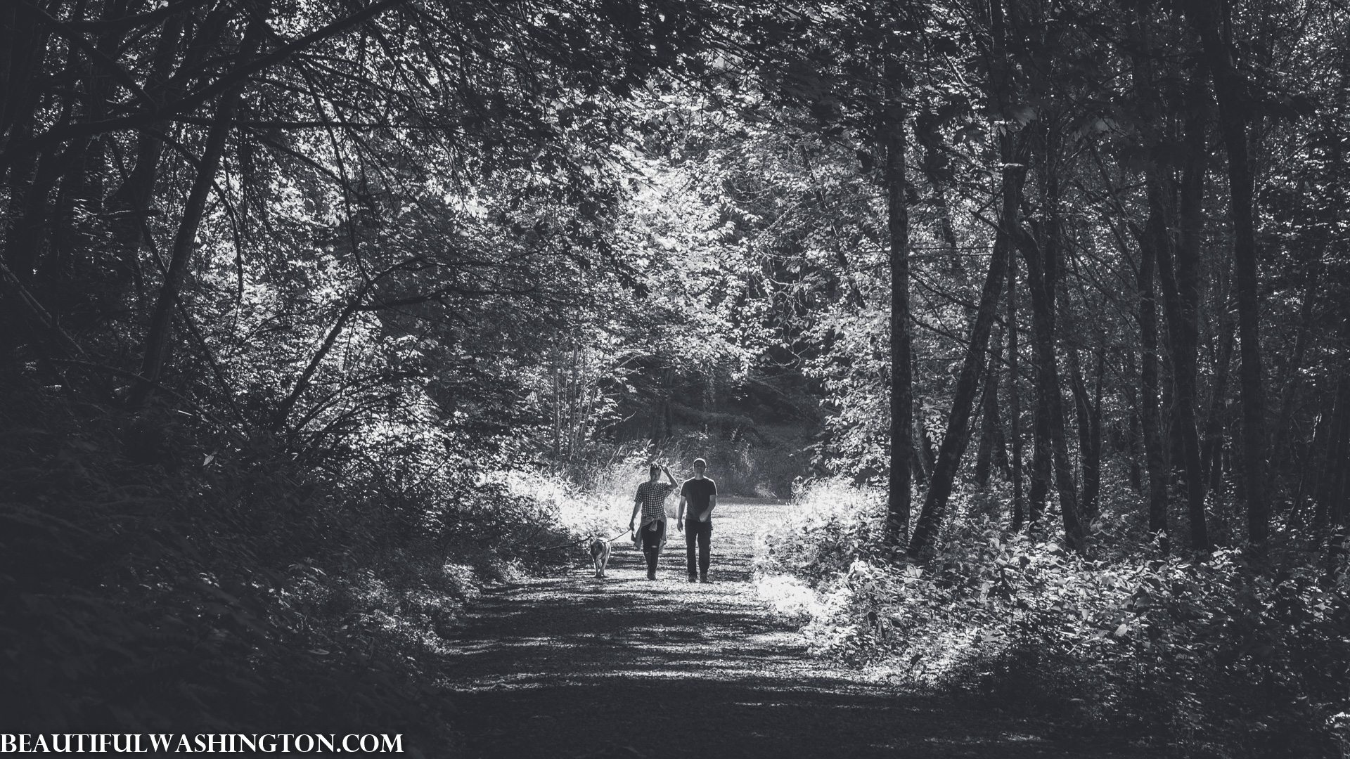 Photo from Washington State