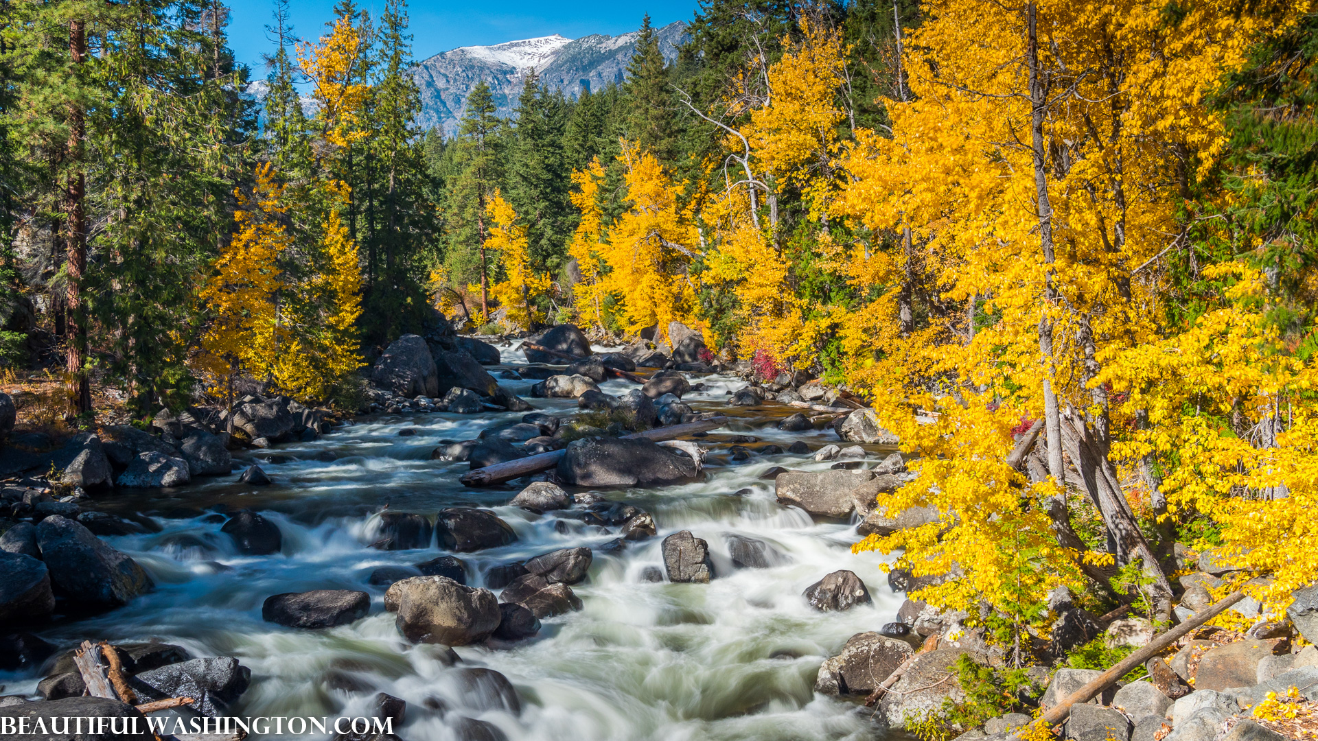 Photo from Washington State