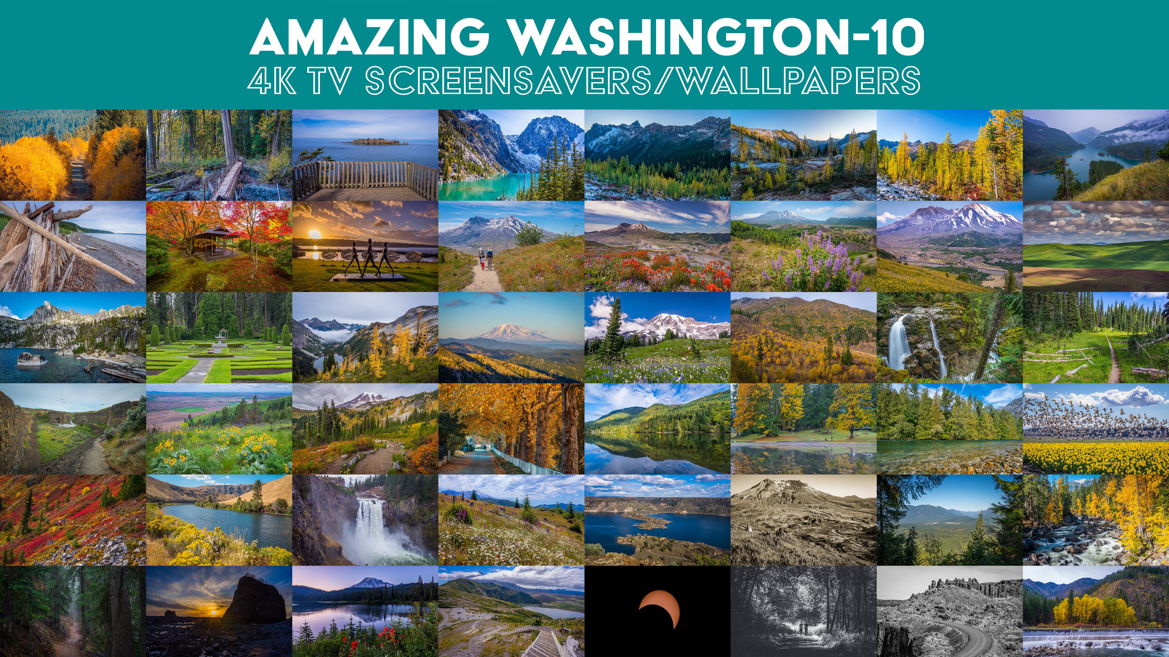 Photo from Washington State