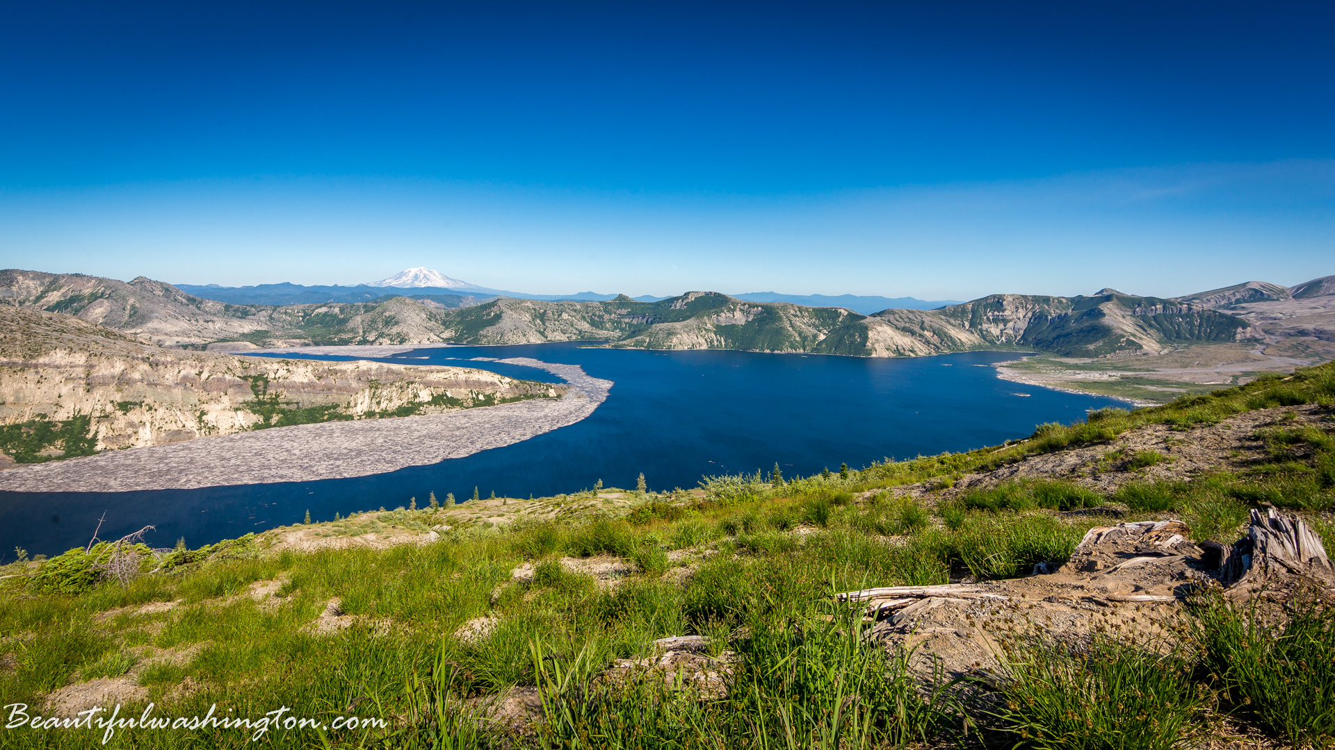 Photo from Washington State