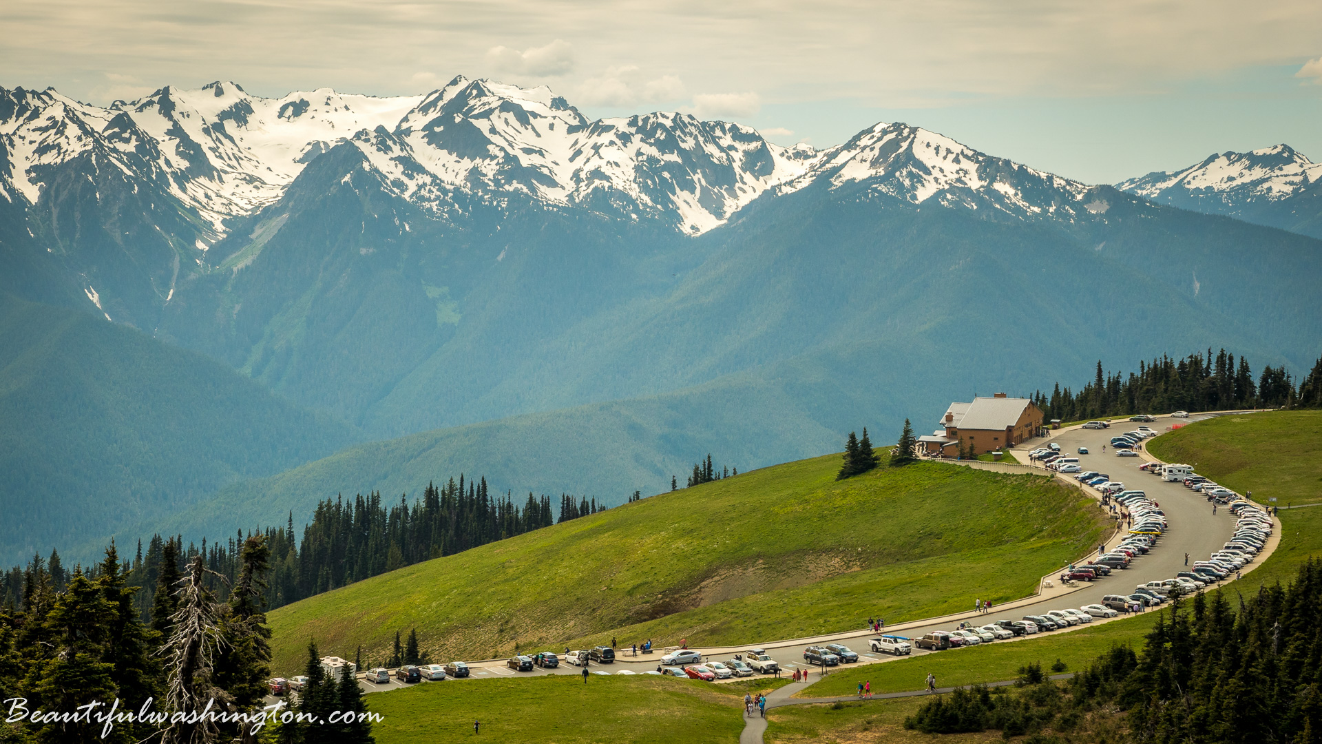 Photo from Washington State