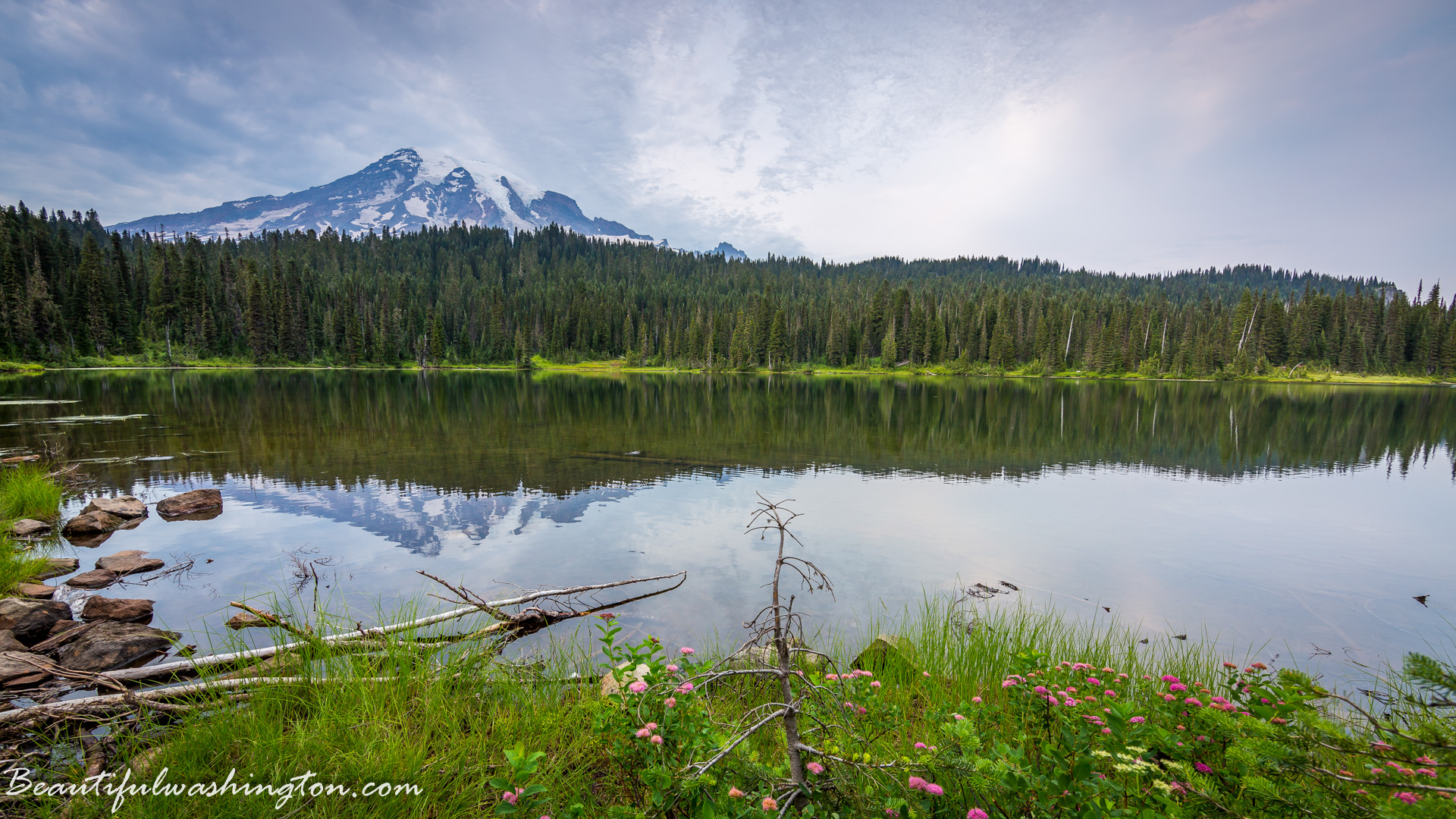 Photo from Washington State