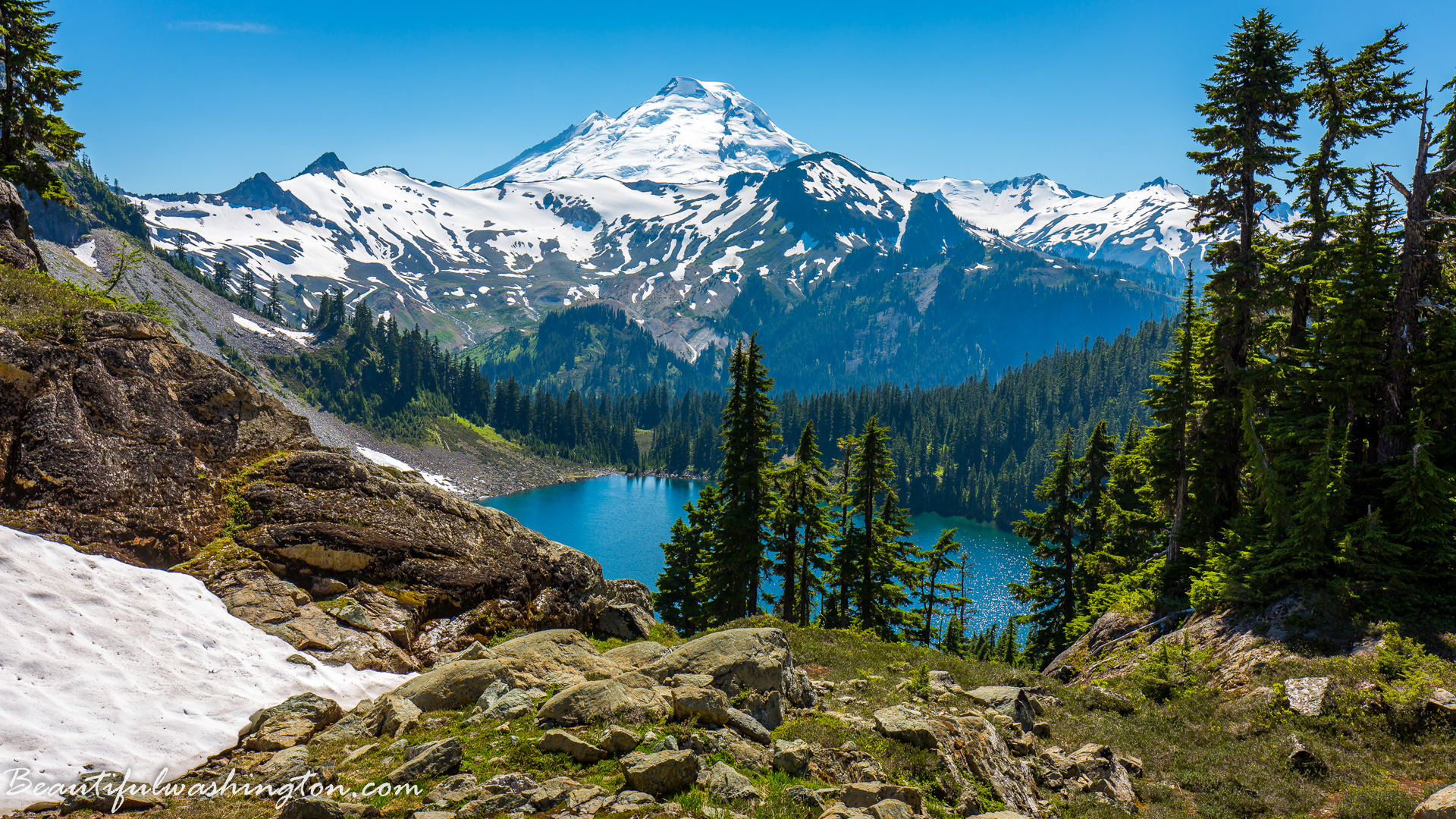 Photo from Washington State