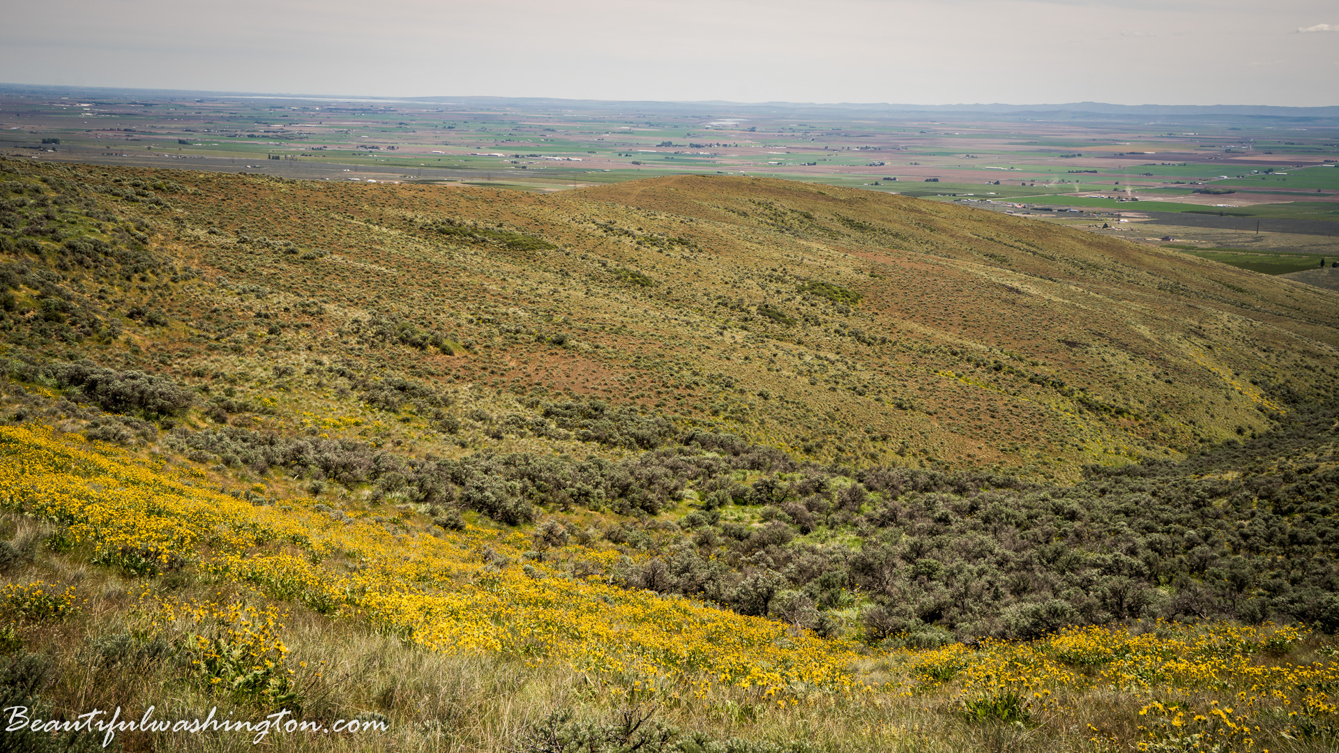 Photo from Washington State