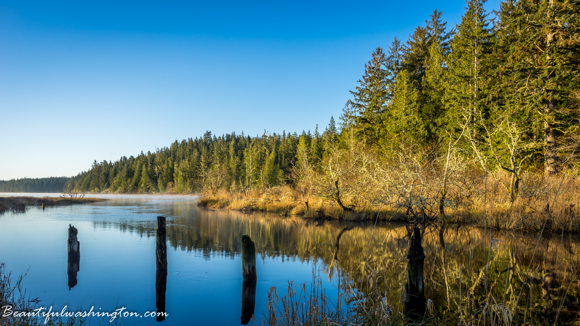 Photo from Washington State