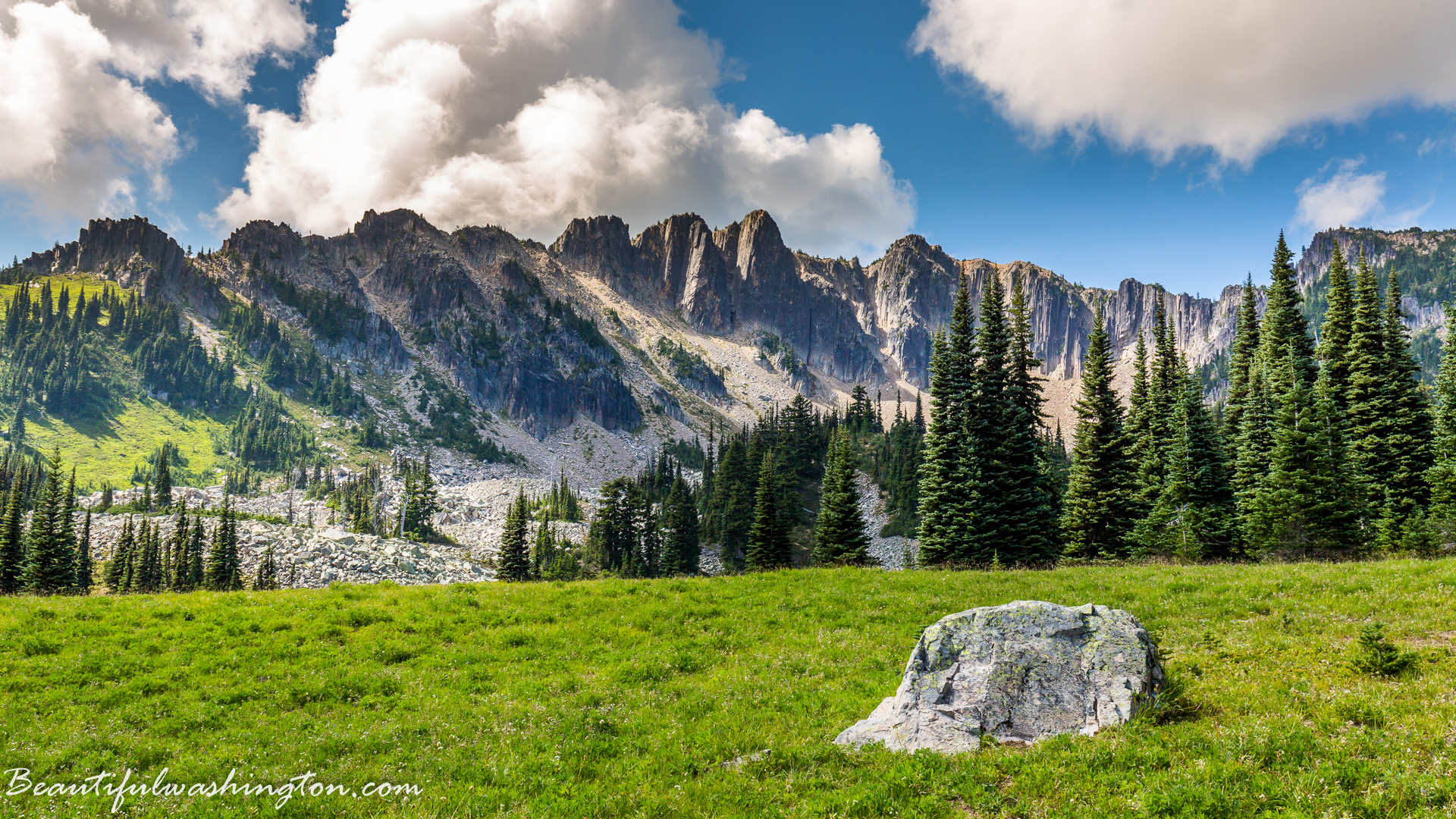 Photo from Washington State