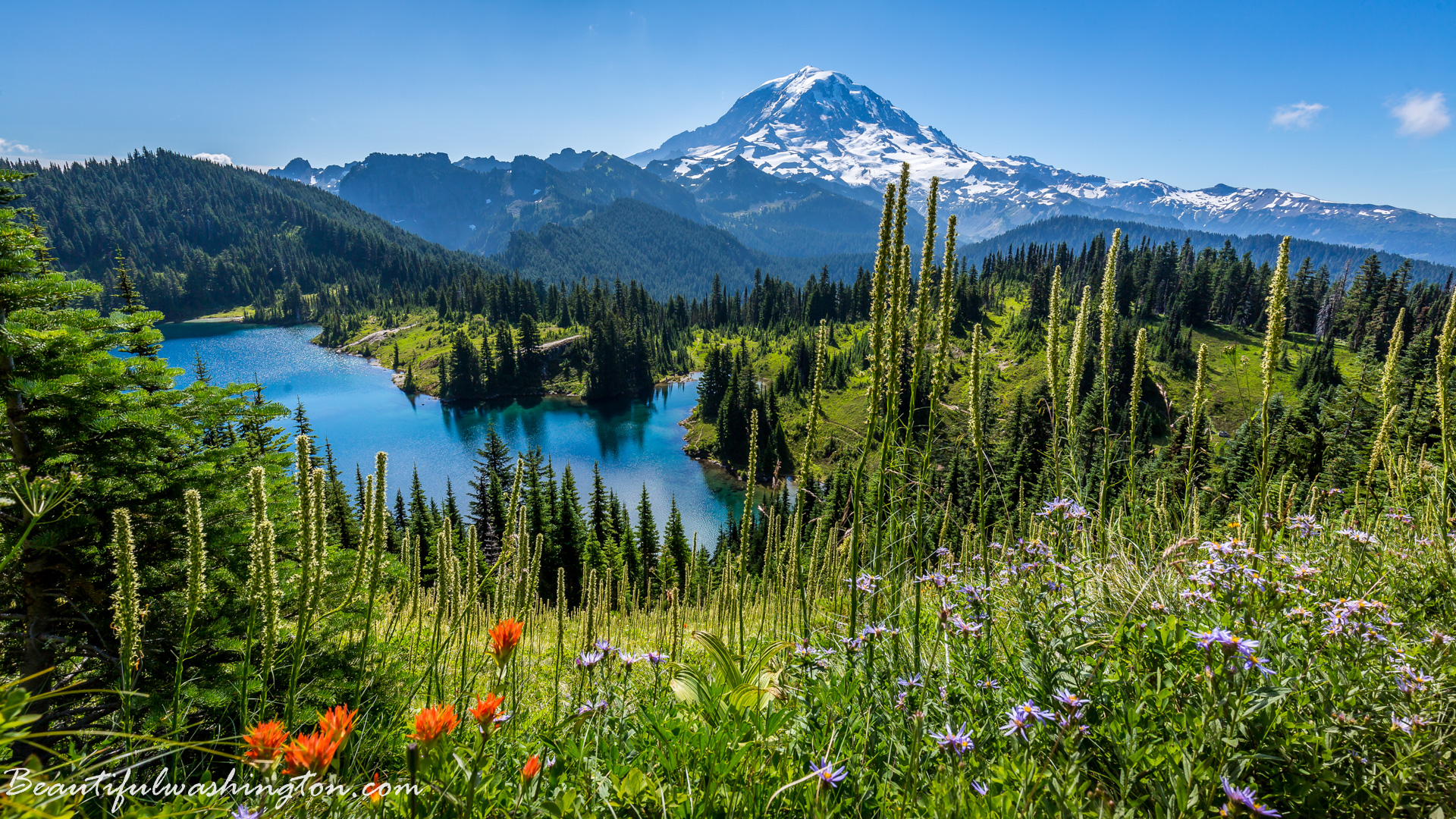 Photo from Washington State