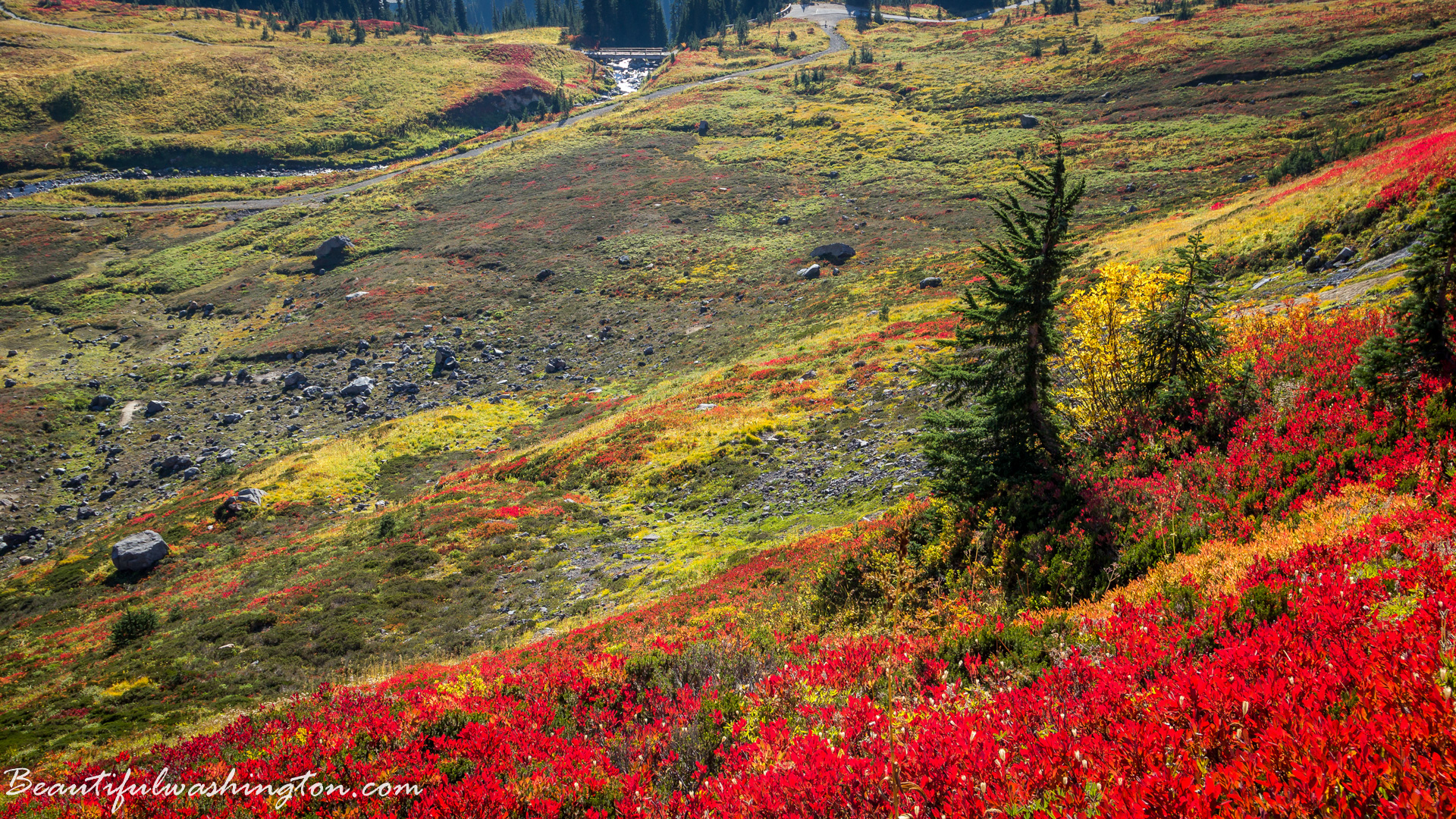 Photo from Washington State