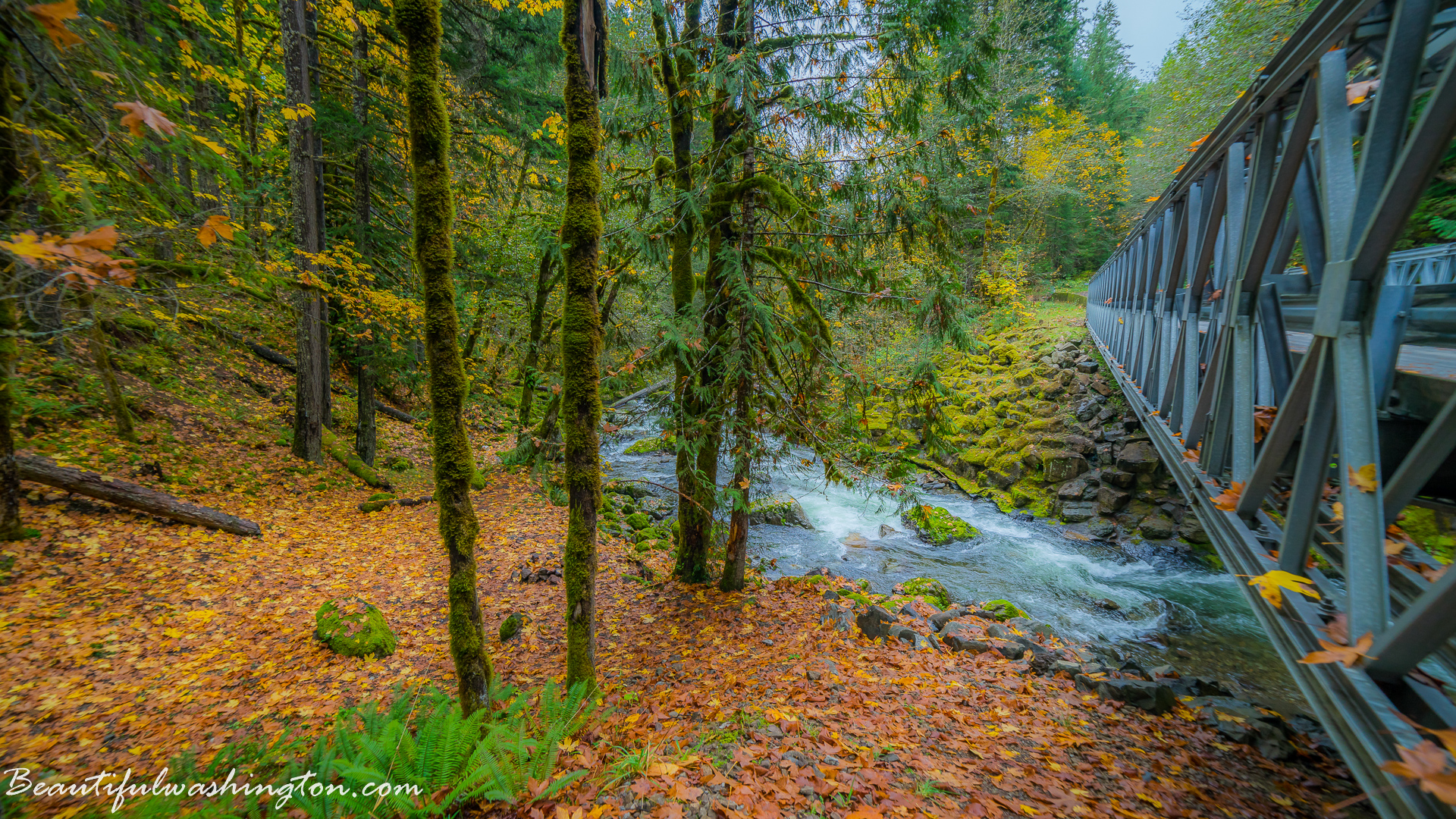 Photo from Washington State