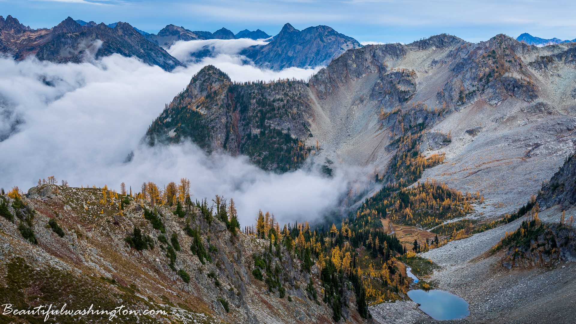 Photo from Washington State